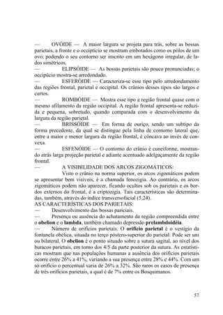 57
— OVÓIDE — A maior largura se projeta para trás, sobre as bossas
parietais, a fronte e o occiptício se mostram embotados como os pólos de um
ovo, podendo o seu contorno ser inscrito em um hexágono irregular, de la-
dos simétricos.
— ELIPSÓIDE — As bossas parietais são pouco pronunciadas; o
occipúcio mostra-se arredondado.
— ESFERÓIDE — Caracteriza-se esse tipo pelo arredondamento
das regiões frontal, parietal e occipital. Os crânios desses tipos são largos e
curtos.
— ROMBÓIDE — Mostra esse tipo a região frontal quase com o
mesmo afilamento da região occipital. A região frontal apresenta-se reduzi-
da e pequena, sobretudo, quando comparada com o desenvolvimento da
largura da região parietal.
— BRISSÓIDE — Em forma de ouriço, sendo um subtipo da
forma precedente, da qual se distingue pela linha de contorno lateral que,
entre a maior e menor largura da região frontal, é côncava ao invés de con-
vexa.
— ESFENÓIDE — O contorno do crânio é cuneiforme, mostran-
do atrás larga projeção parietal e adiante acentuado adelgaçamente da região
frontal.
— A VISIBILIDADE DOS ARCOS ZIGOMÁTICOS:
Visto o crânio na norma superior, os arcos zigomáticos podem
se apresentar bem visíveis, é a chamada fenozigia. Ao contrário, os arcos
zigomáticos podem não aparecer, ficando ocultos sob os parietais e os bor-
dos externos do frontal, é a criptozigia. Tais características são determina-
das, também, através do índice transversofacial (5,24).
AS CARACTERÍSTICAS DOS PARIETAIS:
— Desenvolvimento das bossas pariciais.
— Presença ou ausência do achatamento da região compreendida entre
o obelion e o lambda, também chamado depressão prelambdoidéia.
— Número de orifícios parietais. O orifício parietal é o vestígio da
fontanela obélica, situada no terço póstero-superior do parietal. Pode ser uni
ou bilateral. O obelion é o ponto situado sobre a sutura sagital, ao nível dos
buracos parietais, em torno dos 4/5 da parte posterior da sutura. As estatísti-
cas mostram que nas populações humanas a ausência dos orifícios parietais
ocorre entre 26% a 41%, variando a sua presença entre 28% e 44%. Com um
só orifício o percentual varia de 26% a 32%. São raros os casos de presença
de três orifícios parietais, a qual é de 7% entre os Bosquimanos.
 
