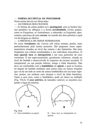 58
— NORMA OCCIPITAL OU POSTERIOR
Nesta norma devem ser observadas:
— AS FORMAS DOS CRÂNIOS
— As formas do crânio podem ser a pentagonal, com os bordos late-
rais paralelos ou oblíquos e a forma arredondada. Certos grupos,
como os Fueguinos, os Australianos, e sobretudo, os Esquimós, apre-
sentam a presença de uma carena, na reunião dos dois parietais a qual
vai do bregma ao obelion.
— A PRESENÇA DE OSSOS WORMIANOS
Os ossos wormianos são visíveis sob várias normas, porém, mais
particularmente pela norma posterior. São pequenos ossos supra-
numerários situados ao nível das suturas e das fontanelas. São mais
freqüentes nos crânios arredondados e nos indivíduos masculinos. O
osso epactal, inca ou interparietal é um caso particular de osso
wormiano. É um supra-numerário, geralmente volumoso, situado ao
nível do lambda e desenvolvido às expensas da escama occipital. O
interparietal, na sua porção inferior, atinge a linha biastérica. Não
deve ser confundido com o lambdático ou apical, o qual se localiza
no ângulo do lambda mediante uma sutura mais ou menos irregular
que vai de um lado ao outro da sutura lambdoidéia em seu terço supe-
rior, porém, em nenhum caso alcança o nível da linha biastérica.
Tanto o osso inca, como o lambdático, pode ser único ou múltiplo
(Fig. VII,2). O osso astérico; de tamanho variável, se encontra ocu-
pando o lugar do asterion.
Fig. VII,2
A – Osso lambdático ou apical B – Osso inca ou interparletal ou
epactal
 