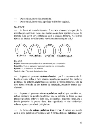 60
— O desenvolvimento da mastóide.
— O desenvolvimento das apófises estilóide e vaginal.
NA FACE
— A forma da arcada alveolar. A arcada alveolar é a porção da
maxila que contém as raízes dos dentes, constitui a apófise alveolar da
maxila. Não deve ser confundida com a arcada dentária. As formas
típicas da arcada alveolar estão representadas na figura VII,3.
Fig. VII,3
Elíptica: Com os segmentos laterais se aproximando nas extremidades.
Parabólica: Com os segmentos laterais divergentes nas extremidades.
Upsóide: As extremidades são paralelas.
Semi-circular: Própria da dentadura decídua.
— A possível presença do toro alveolar, que é o espessamento do
bordo alveolar sobre a face interna, usualmente ao nível dos molares,
podendo, no entanto, afetar todos os outros alvéolos dentários. São de
dois tipos: estriado ou em forma de tubérculo, podendo ambos coe-
xistirem.
— A possível presença do toro palatino sagital, que constitui um
relevo mediano no palato, fusiforme, que se estende da fossa incisiva
(buraco palatino anterior) para trás, alcançando, algumas vezes, até o
bordo posterior do palato duro. Seu significado é mal conhecido,
sabe-se apenas que não é patogênico.
— A forma da sutura palatina transversa. A sutura da maxila
com o osso palatino apresenta-se em 4 formas típicas: retilínea; com
 