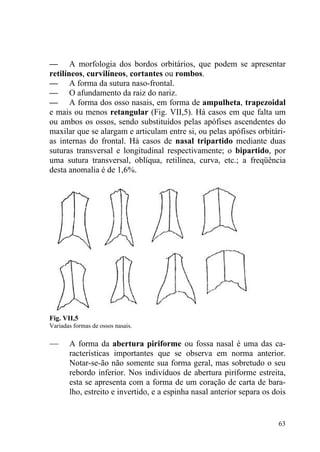 63
— A morfologia dos bordos orbitários, que podem se apresentar
retilíneos, curvilíneos, cortantes ou rombos.
— A forma da sutura naso-frontal.
— O afundamento da raiz do nariz.
— A forma dos osso nasais, em forma de ampulheta, trapezoidal
e mais ou menos retangular (Fig. VII,5). Há casos em que falta um
ou ambos os ossos, sendo substituídos pelas apófises ascendentes do
maxilar que se alargam e articulam entre si, ou pelas apófises orbitári-
as internas do frontal. Há casos de nasal tripartido mediante duas
suturas transversal e longitudinal respectivamente; o bipartido, por
uma sutura transversal, oblíqua, retilínea, curva, etc.; a freqüência
desta anomalia é de 1,6%.
Fig. VII,5
Variadas formas de ossos nasais.
— A forma da abertura piriforme ou fossa nasal é uma das ca-
racterísticas importantes que se observa em norma anterior.
Notar-se-ão não somente sua forma geral, mas sobretudo o seu
rebordo inferior. Nos indivíduos de abertura piriforme estreita,
esta se apresenta com a forma de um coração de carta de bara-
lho, estreito e invertido, e a espinha nasal anterior separa os dois
 