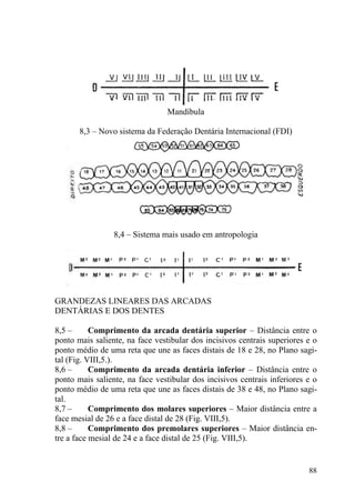 88
Mandíbula
8,3 – Novo sistema da Federação Dentária Internacional (FDI)
8,4 – Sistema mais usado em antropologia
GRANDEZAS LINEARES DAS ARCADAS
DENTÁRIAS E DOS DENTES
8,5 – Comprimento da arcada dentária superior – Distância entre o
ponto mais saliente, na face vestibular dos incisivos centrais superiores e o
ponto médio de uma reta que une as faces distais de 18 e 28, no Plano sagi-
tal (Fig. VIII,5.).
8,6 – Comprimento da arcada dentária inferior – Distância entre o
ponto mais saliente, na face vestibular dos incisivos centrais inferiores e o
ponto médio de uma reta que une as faces distais de 38 e 48, no Plano sagi-
tal.
8,7 – Comprimento dos molares superiores – Maior distância entre a
face mesial de 26 e a face distal de 28 (Fig. VIII,5).
8,8 – Comprimento dos premolares superiores – Maior distância en-
tre a face mesial de 24 e a face distal de 25 (Fig. VIII,5).
 
