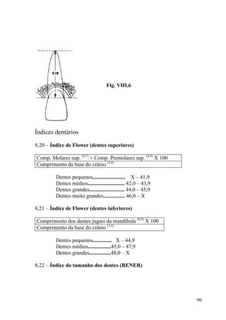 90
Fig. VIII,6
Índices dentários
8,20 – Índice de Flower (dentes superiores)
Comp. Molares sup. (8,7)
+ Comp. Premolares sup. (8,8)
X 100
Comprimento da base do crânio (3,4)
Dentes pequenos........................ X – 41,9
Dentes médios........................... 42,0 – 43,9
Dentes grandes.......................... 44,0 – 45,9
Dentes muito grandes................ 46,0 – X
8,21 – Índice de Flower (dentes inferiores)
Comprimento dos dentes jugais da mandíbula (8,9)
X 100
Comprimento da base do crânio (3,4)
Dentes pequenos.............. X – 44,9
Dentes médios.................45,0 – 47,9
Dentes grandes................48,0 – X
8,22 – Índice do tamanho dos dentes (RENER)
 