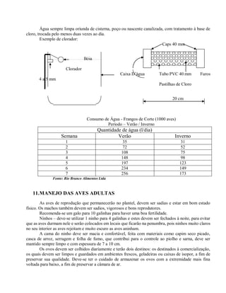 Água sempre limpa oriunda de cisterna, poço ou nascente canalizada, com tratamento à base de
cloro, trocada pelo menos duas vezes ao dia.
Exemplo de clorador:
Caps 40 mm
Bóia
Clorador
Caixa D’água Tubo PVC 40 mm Furos
4 a 5 mm
Pastilhas de Cloro
20 cm
Consumo de Água - Frangos de Corte (1000 aves)
Período – Verão / Inverno
Quantidade de água (l/dia)
Semana Verão Inverno
1 35 31
2 72 52
3 108 75
4 148 98
5 197 123
6 234 149
7 256 173
Fonte: Rio Branco Alimentos Ltda
11.MANEJO DAS AVES ADULTAS
As aves de reprodução que permanecerão no plantel, devem ser sadias e estar em bom estado
físico. Os machos também devem ser sadios, vigorosos e bons reprodutores.
Recomenda-se um galo para 10 galinhas para haver uma boa fertilidade.
Ninhos – deve-se utilizar 1 ninho para 4 galinhas e estes devem ser fechados à noite, para evitar
que as aves durmam nele e serão colocados em locais que ficarão na penumbra, pois ninhos muito claros
no seu interior as aves rejeitam e muito escuro as aves aninham.
A cama do ninho deve ser macia e confortável, feita com materiais como capim seco picado,
casca de arroz, serragem e folha de fumo, que contribui para o controle ao piolho e sarna, deve ser
mantido sempre limpo e com espessura de 7 a 10 cm.
Os ovos devem ser colhidos diariamente e terão dois destinos: os destinados à comercialização,
os quais devem ser limpos e guardados em ambientes frescos, geladeiras ou caixas de isopor, a fim de
preservar sua qualidade. Deve-se ter o cuidado de armazenar os ovos com a extremidade mais fina
voltada para baixo, a fim de preservar a câmara de ar.
 