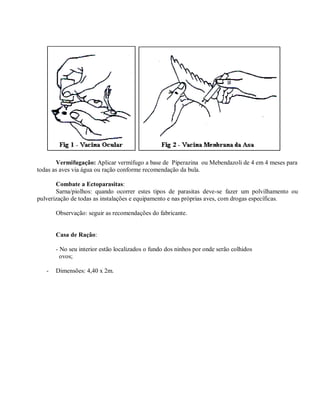 Vermifugação: Aplicar vermífugo a base de Piperazina ou Mebendazoli de 4 em 4 meses para
todas as aves via água ou ração conforme recomendação da bula.
Combate a Ectoparasitas:
Sarna/piolhos: quando ocorrer estes tipos de parasitas deve-se fazer um polvilhamento ou
pulverização de todas as instalações e equipamento e nas próprias aves, com drogas específicas.
Observação: seguir as recomendações do fabricante.
Casa de Ração:
- No seu interior estão localizados o fundo dos ninhos por onde serão colhidos
ovos;
- Dimensões: 4,40 x 2m.
 