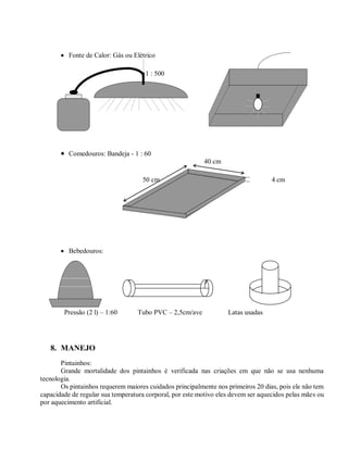  Fonte de Calor: Gás ou Elétrico
1 : 500
 Comedouros: Bandeja - 1 : 60
40 cm
50 cm 4 cm
 Bebedouros:
Pressão (2 l) – 1:60 Tubo PVC – 2,5cm/ave Latas usadas
8. MANEJO
Pintainhos:
Grande mortalidade dos pintainhos é verificada nas criações em que não se usa nenhuma
tecnologia.
Os pintainhos requerem maiores cuidados principalmente nos primeiros 20 dias, pois ele não tem
capacidade de regular sua temperatura corporal, por este motivo eles devem ser aquecidos pelas mães ou
por aquecimento artificial.
 