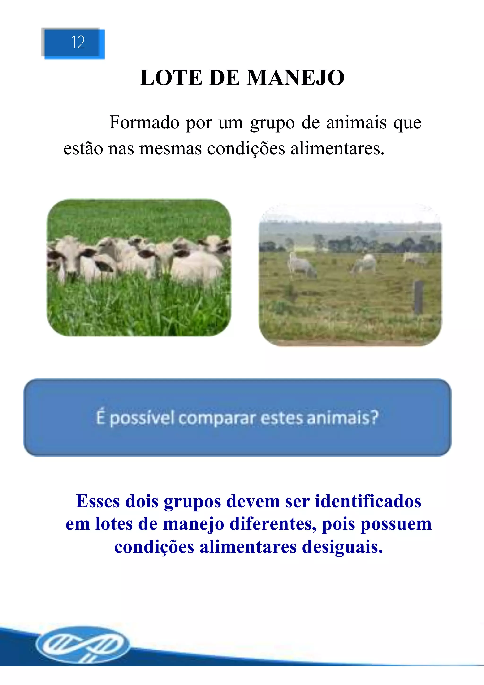12

        LOTE DE MANEJO
      Formado por um grupo de animais que
estão nas mesmas condições alimentares.




 Esses dois grupos devem ser identificados
em lotes de manejo diferentes, pois possuem
      condições alimentares desiguais.
 