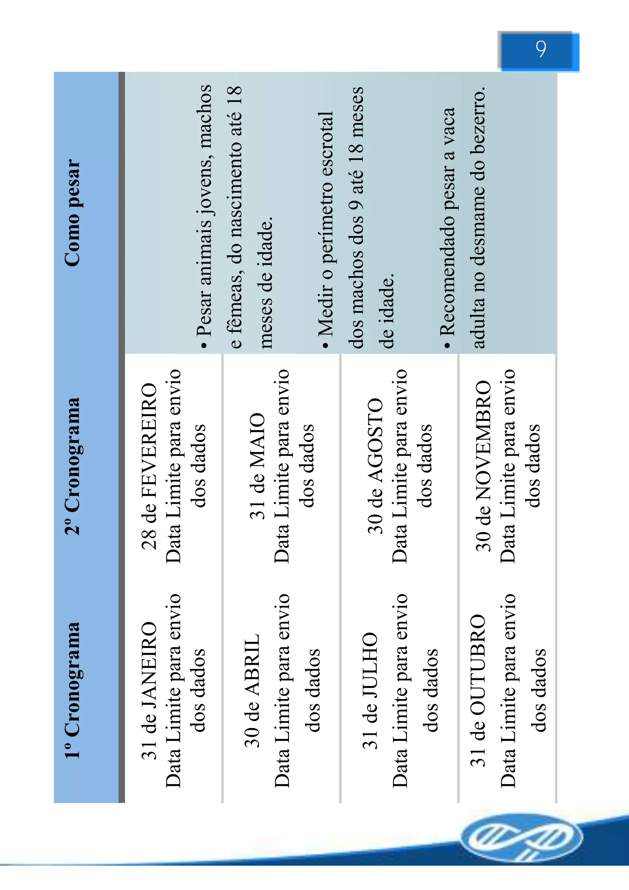 1º Cronograma            2º Cronograma                Como pesar


   31 de JANEIRO          28 de FEVEREIRO
Data Limite para envio   Data Limite para envio
      dos dados                dos dados        • Pesar animais jovens, machos
                                                e fêmeas, do nascimento até 18
    30 de ABRIL               31 de MAIO        meses de idade.
Data Limite para envio   Data Limite para envio
      dos dados                dos dados
                                                • Medir o perímetro escrotal
                                                dos machos dos 9 até 18 meses
    31 de JULHO             30 de AGOSTO
                                                de idade.
Data Limite para envio   Data Limite para envio
      dos dados                dos dados
                                                • Recomendado pesar a vaca
  31 de OUTUBRO           30 de NOVEMBRO adulta no desmame do bezerro.
Data Limite para envio   Data Limite para envio
                               dos dados
                                                                                 9




      dos dados
 