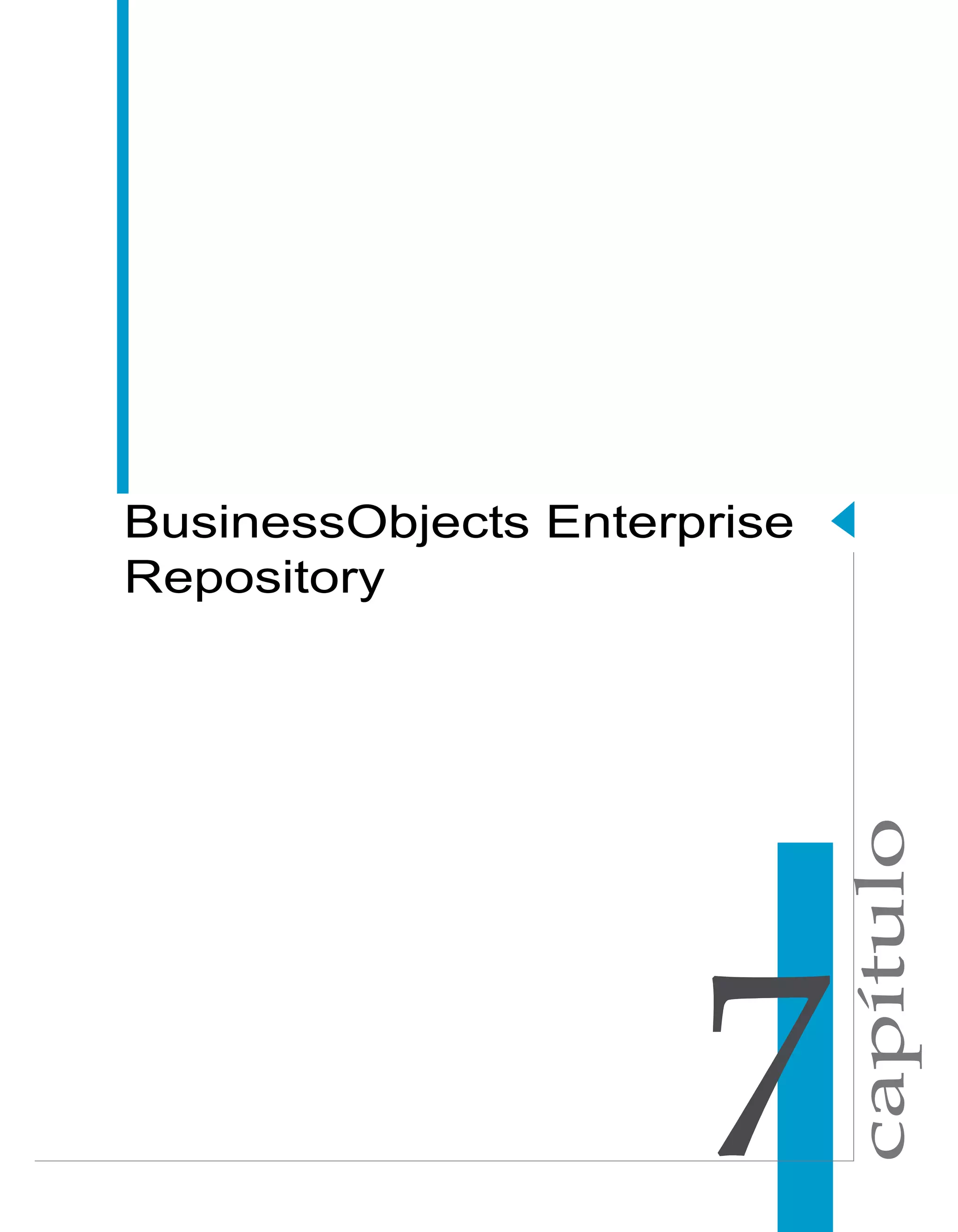 capítulo 
BusinessObjects Enterprise 
Repository 
 