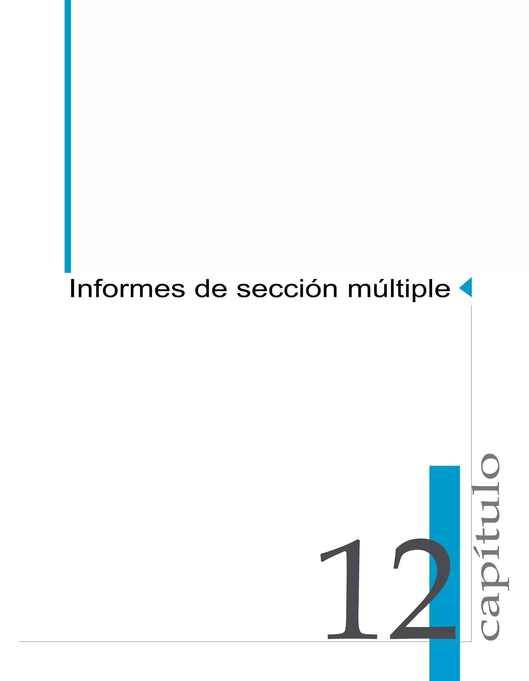 capítulo 
Informes de sección múltiple 
 