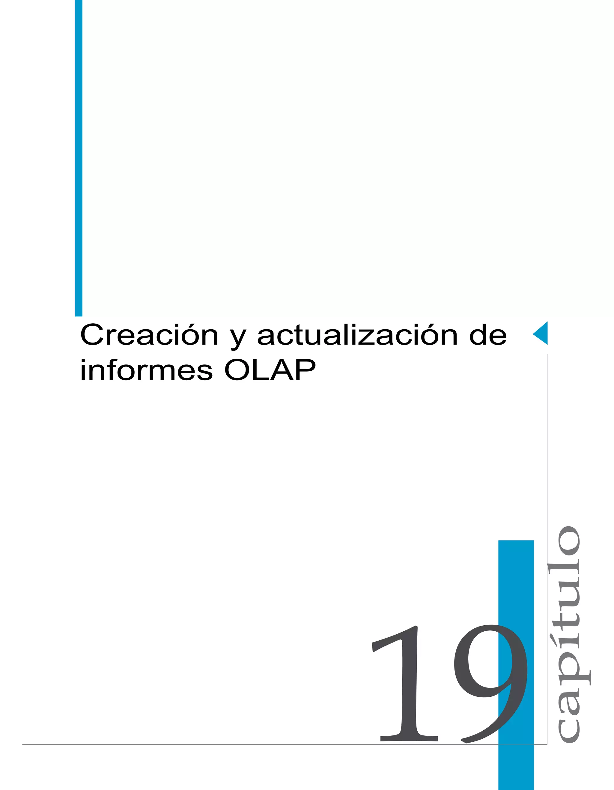 capítulo 
Creación y actualización de 
informes OLAP 
 