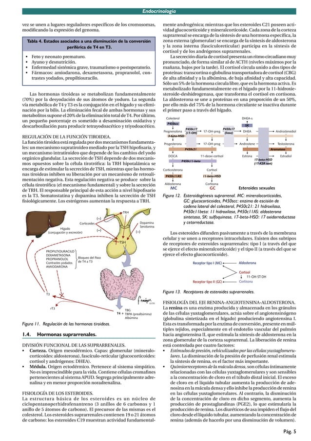 Manual Cto EndocrinologíA