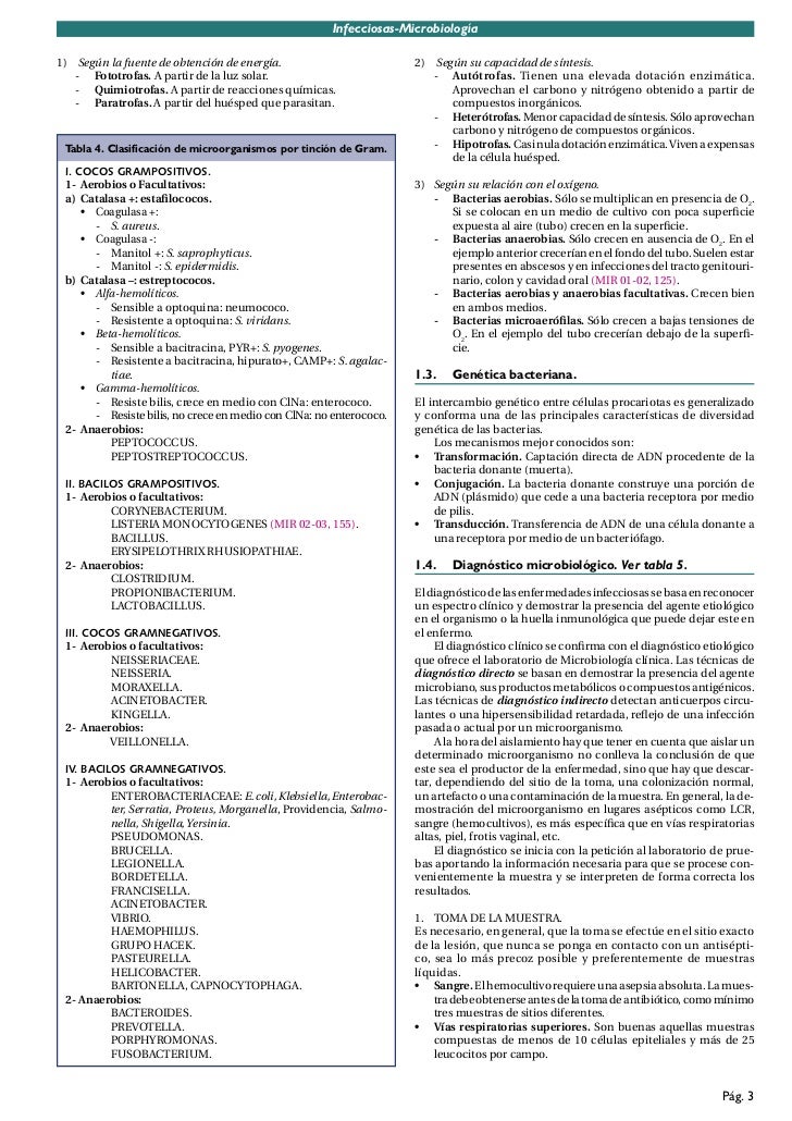 cadena epidemiologica treponema pallidum manual cto microbiologia y enfermedades infecciosas cadena epidemiologica treponema pallidum manual cto microbiologia y enfermedades infecciosas