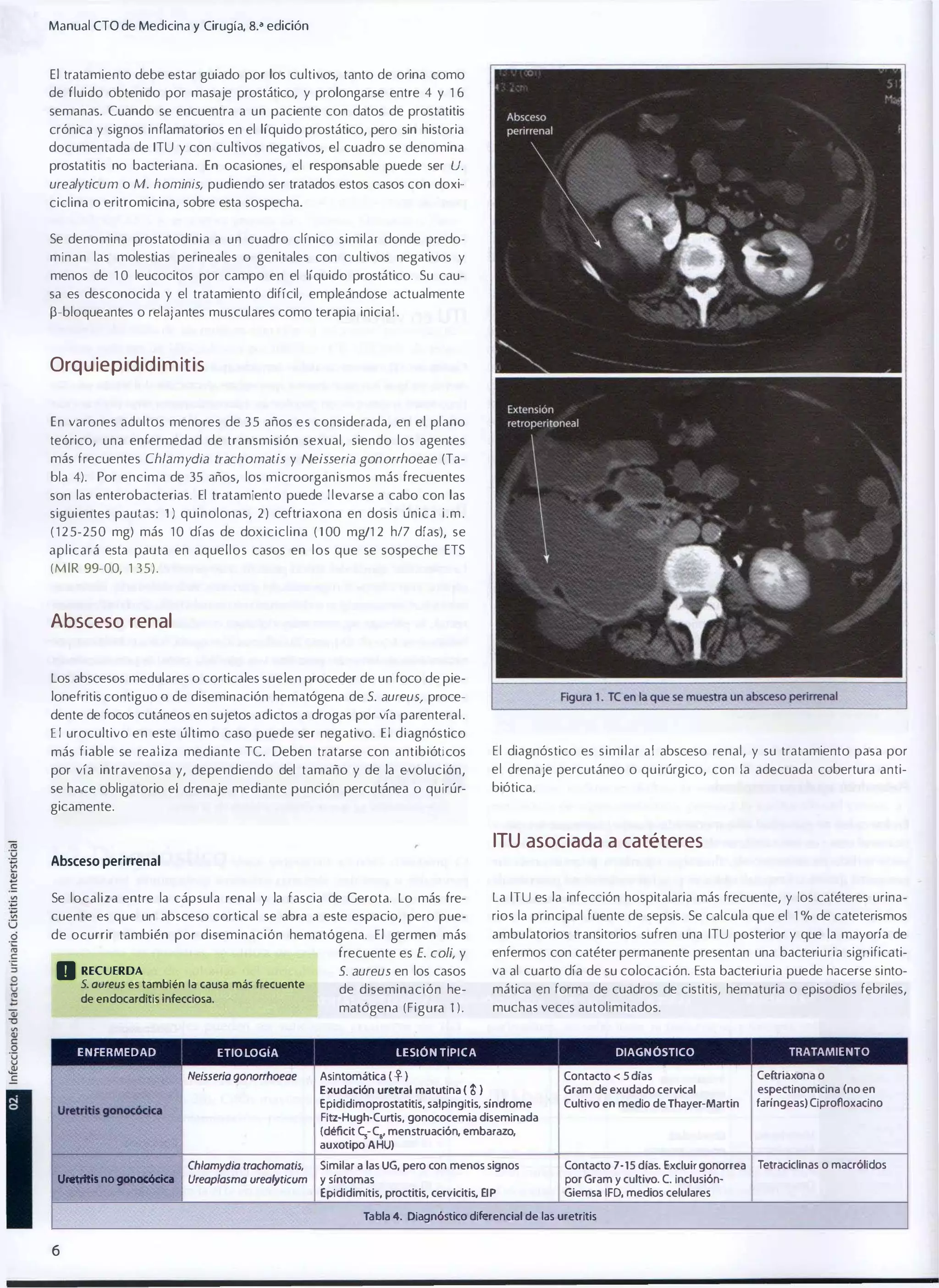 Manual CTO de Medicina y Cirugía, B." edición
El tratamiento debe estar guiado por los cultivos, tanto de orina como
de fluido obtenido por masaje prostático, y prolongarse entre 4 y 1 6
semanas. Cuando se encuentra a un paciente con datos de prostatitis
crónica y signos inflamatorios en el líquido prostático, pero sin historia
documentada de ITU y con cultivos negativos, el cuadro se denomina
prostatitis no bacteriana. En ocasiones, el responsable puede ser U.

urealylicum o M . hominis, pudiendo ser tratados estos casos con doxi­

ciclina o eritromicina, sobre esta sospecha.
Se denomina prostatodinia a un cuadro clínico similar donde predo­
minan las molestias perineales o genitales con cultivos negativos y
menos de 1 0 leucocitos por campo en el líquido prostático. Su cau­
sa es desconocida y el tratamiento difícil, empleándose actualmente
p-bloqueantes o relajantes musculares como terapia inicial.

Orqu iepididimitis
En varones adultos menores de 3 5 años e s considerada, en el plano
teórico, una enfermedad d e transmisión sexual, siendo los agentes
más frecuentes Chlam ydia trachomatis y Neisseria gonorrhoeae (Ta­
bla 4). Por encima de 35 años, los microorgan i smos más frecuentes
son las enterobacterias. El tratamiento puede l l evarse a cabo con las
sigui entes pautas: 1 ) quinolonas, 2) ceftriaxona en dosis única i . m .
( 1 2 5-250 mg) más 1 0 días de doxiciclina ( 1 00 mgl1 2 h/7 días), se
aplicará esta pauta en aquellos casos en los que se sospeche ETS
(MIR 99-00, 1 35).

Absceso renal
Los abscesos medulares o corticales suelen proceder de un foco de pie­
lonefritis contiguo O de diseminación hematógena de s. aureus/ proce­

dente de focos cutáneos en sujetos adictos a drogas por vía parenteral .

E l urocultivo e n este último caso puede ser negativo. El diagnóstico

más fiable se realiza mediante TC Deben tratarse con antibióticos

El diagnóstico es similar al absceso renal, y su tratamiento pasa por

por vía intravenosa y, dependiendo del tamaño y de la evolución,

el drenaje percutáneo o quirúrgico, con la adecuada cobertura anti­
biótica.

se hace obligatorio el drenaje mediante punción percutánea
gicamente.

O

quirúr­

ITU asociada a catéteres
Absceso pe,i"enal

Se localiza entre la cápsula renal y la fascia de Gerota. Lo más fre­

La ITU es la infección hospitalaria más frecuente, y los catéteres urina­

cuente es que un absceso cortical se abra a este espacio, pero pue­

rios la principal fuente de sepsis. Se calcula que el 1 % de cateterismos

d e ocurrir también por diseminación hematógena. El germen más

ambulatorios transitorios sufren una ITU posterior y que la mayoría de

frecuente es E. coli, y

S. oureus es también la causa más frecuente
de endocarditis Infecciosa.

ENFERMEDAD

ETIOLOGIA

enfermos con catéter permanente presentan una bacteriuria significati­

S. aureus en los casos

va al cuarto día de su colocación. Esta bacteriuria puede hacerse sinto­

de diseminación he­

mática en forma de cuadros de cistitis, hematuria o episodios febriles,

matógena (Figura 1).

D RECUERDA

muchas veces autolimitados.

DIAGNÓSTICO

LESiÓN TIPICA

TRATAMIENTO

Neisserio gonorrhoeoe

Asintomática (�)
Exudación uretral matutina (1;)
Epididimoprostatitis, salpingitis, síndrome
Fitz-Hugh-Curtis, gonococemia diseminada
(déficit C5-C.. menstruación, embarazo,
auxotipo AHU)

Contacto < 5 dlas
Gram de exudado cervical
Cultivo en medio de Thayer-Martin

Ceftriaxona o
espectinomicina (no en
faríngeas)Ciprofloxacino

Chlomydio trochomotis,
Ureoplosmo ureolyticum

Similar a las UG, pero con menos signos

Contacto 7-15 dias. Excluir gonorrea
por Gram y cultivo. C. inclusiónGiemsa IFD, medios celulares

Tetraciclinas o macrólidos

Uretritis gonocócIco

lInIIrItIs no __

y síntomas
Epldidimitis, proctitis, cervicitis, EIP

Tabla 4. Diagnóstico diferencial de las uretritis

6

 