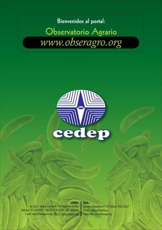 Bienvenidos al portal:
                          Observatorio Agrario
                    www.obseragro.org




                                  cedep



                                                      LIMA:       ICA:
           Av. José F. Sánchez Carrión Nº 790 Magdalena del Mar   Camino a Huacachina Nº 1151 Telefax: 056-215627
Teléfonos: 01- 4630099 / 4602855 /4615598 / Fax: 4616446          E-mail: cedepica@yahoo.es
     E-mail: cedep@cedepperu.org http:// www.cedepperu.org        Página Web: www.obseragro.org
 