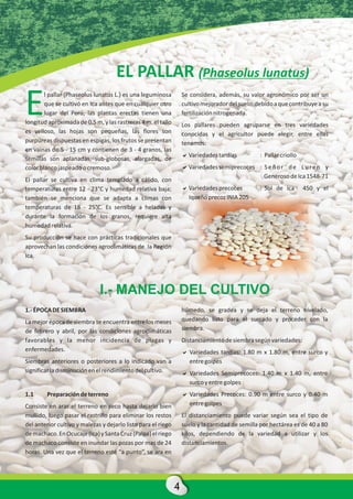 EL PALLAR (Phaseolus lunatus)

E       l pallar (Phaseolus lunatus L.) es una leguminosa
        que se cultivó en Ica antes que en cualquier otro
        lugar del Perú, las plantas erectas tienen una
longitud aproximada de 0.5 m, y las rastreras 4 m. el tallo
es velloso, las hojas son pequeñas, las flores son
                                                                   Se considera, además, su valor agronómico por ser un
                                                                   cultivo mejorador del suelo, debido a que contribuye a su
                                                                   fertilización nitrogenada.
                                                                   Los pallares pueden agruparse en tres variedades
                                                                   conocidas y el agricultor puede elegir, entre ellas
purpúreas dispuestas en espigas, los frutos se presentan           tenemos:
en vainas de 5 - 15 cm y contienen de 3 - 4 granos, las
                                                                   a
                                                                   Variedades tardías            : Pallar criollo
semillas son aplanadas, sub-globosas, alargadas, de
color blanco jaspeado o cremoso.                                   a
                                                                   Variedades semiprecoces : S e ñ o r d e L u r e n y
                                                                                             Generoso de Ica 1548-71
El pallar se cultiva en clima templado a cálido, con
temperaturas entre 12 - 23°C y humedad relativa baja;              a
                                                                   Variedades precoces           : Sol de Ica       450 y el
también se menciona que se adapta a climas con                     Iqueño precoz INIA 205
temperaturas de 18 - 25°C. Es sensible a heladas y
durante la formación de los granos, requiere alta
humedad relativa.
Su producción se hace con prácticas tradicionales que
aprovechan las condiciones agroclimáticas de la Región
Ica.




                              I.- MANEJO DEL CULTIVO
1.- ÉPOCA DE SIEMBRA                                               húmedo, se gradea y se deja el terreno nivelado,
La mejor época de siembra se encuentra entre los meses             quedando listo para el surcado y proceder con la
de febrero y abril, por las condiciones agroclimáticas             siembra.
favorables y la menor incidencia de plagas y                       Distanciamiento de siembra según variedades:
enfermedades.                                                      a tardías: 1.80 m x 1.80 m, entre surco y
                                                                   Variedades
Siembras anteriores o posteriores a lo indicado van a              entre golpes
significar la disminución en el rendimiento del cultivo.           a Semiprecoces: 1.40 m x 1.40 m, entre
                                                                   Variedades
                                                                   surco y entre golpes
1.1     Preparación de terreno                                     a Precoces: 0.90 m entre surco y 0.40 m
                                                                   Variedades
Consiste en arar el terreno en seco hasta dejarlo bien             entre golpes
mullido, luego pasar el rastrillo para eliminar los restos         El distanciamiento puede variar según sea el tipo de
del anterior cultivo y malezas y dejarlo listo para el riego       suelo y la cantidad de semilla por hectárea es de 40 a 80
de machaco. En Ocucaje (Ica) y Santa Cruz (Palpa) el riego         kilos, dependiendo de la variedad a utilizar y los
de machaco consiste en inundar las pozas por mas de 24             distanciamientos.
horas. Una vez que el terreno esté “a punto”, se ara en




                                                               4
 