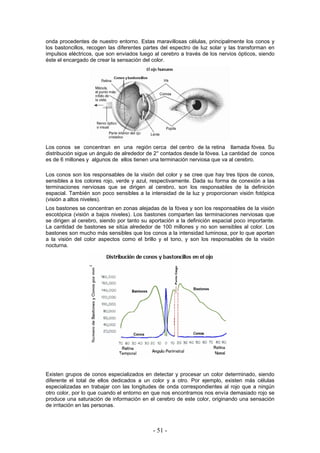 onda procedentes de nuestro entorno. Estas maravillosas células, principalmente los conos y
los bastoncillos, recogen las diferentes partes del espectro de luz solar y las transforman en
impulsos eléctricos, que son enviados luego al cerebro a través de los nervios ópticos, siendo
éste el encargado de crear la sensación del color.
Los conos se concentran en una región cerca del centro de la retina llamada fóvea. Su
distribución sigue un ángulo de alrededor de 2° contados desde la fóvea. La cantidad de conos
es de 6 millones y algunos de ellos tienen una terminación nerviosa que va al cerebro.
Los conos son los responsables de la visión del color y se cree que hay tres tipos de conos,
sensibles a los colores rojo, verde y azul, respectivamente. Dada su forma de conexión a las
terminaciones nerviosas que se dirigen al cerebro, son los responsables de la definición
espacial. También son poco sensibles a la intensidad de la luz y proporcionan visión fotópica
(visión a altos niveles).
Los bastones se concentran en zonas alejadas de la fóvea y son los responsables de la visión
escotópica (visión a bajos niveles). Los bastones comparten las terminaciones nerviosas que
se dirigen al cerebro, siendo por tanto su aportación a la definición espacial poco importante.
La cantidad de bastones se sitúa alrededor de 100 millones y no son sensibles al color. Los
bastones son mucho más sensibles que los conos a la intensidad luminosa, por lo que aportan
a la visión del color aspectos como el brillo y el tono, y son los responsables de la visión
nocturna.
Existen grupos de conos especializados en detectar y procesar un color determinado, siendo
diferente el total de ellos dedicados a un color y a otro. Por ejemplo, existen más células
especializadas en trabajar con las longitudes de onda correspondientes al rojo que a ningún
otro color, por lo que cuando el entorno en que nos encontramos nos envía demasiado rojo se
produce una saturación de información en el cerebro de este color, originando una sensación
de irritación en las personas.
- 51 -
 