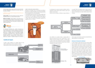 115114
Esgoto
Manual Técnico
Esgoto
Manual Técnico
Vamos ver agora como funcionam as formas de encaminhamento dos
esgotos domésticos com transporte hídrico.
Sistemas de Tratamento Individual
O sistema individual é aquele onde cada uma das casas das cidades
possui o seu próprio sistema de coleta, afastamento e tratamento dos
esgotos domésticos. Neste sistema, os esgotos são encaminhados a
uma fossa séptica,que é uma espécie de caixa que recebe todo o esgoto
doméstico, onde existe a ação de bactérias chamadas “anaeróbias”
(micro-organismos que vivem em ambientes onde o ar não circula).
Estas bactérias transformam parte da matéria orgânica sólida em
gases, que saem pela tubulação de ventilação. Durante o processo,
depositam-se no fundo da fossa as partículas sólidas, que formam o
lodo. Na superfície do líquido também se forma uma camada de crosta,
ou espuma, que contribui para evitar a circulação do ar, facilitando a
ação das bactérias.
caixas de inspeção recebem o esgoto primário e por esse motivo devem
ter tampas hemerticamente fechadas (que não deixam escapar mau
cheiro para o ambiente).
A TIGRE possui a solução ideal para inspeção de redes de esgoto, que
falaremos mais adiante.
Coletor predial: trecho final da tubulação que conduz o esgoto até a
rede pública de coleta, ou ao sistema de esgoto individual.
Válvula de retenção: conexão instalada no ramal predial, após a
última caixa de inspeção, que impede o retorno de esgoto em situações
como: inundações, enchentes, refluxo de marés, entupimentos, vazões
elevadas em períodos de chuva. Pode também ser utilizada em ramais
prediais de águas pluviais.
Um componente fundamental para o perfeito funcionamento do
sistema de esgoto, e que não pode ser esquecido, é a ventilação. Mas
o que é isto? Ventilação é o conjunto de tubulações que permite a
entrada de ar da atmosfera para o interior da instalação de esgoto.
Desta forma, a ventilação protege os desconectores, impedindo
o rompimento do fecho hídrico, ou seja, a falta do fecho hídrico no
desconector ocasionado por uma eventual pressão negativa na
instalação. Além disso, a ventilação permite a saída dos gases do
esgoto para a atmosfera. A ventilação completa de um sistema de
esgoto é composta pelos seguintes elementos:
a) Ramal de ventilação: trecho de tubulação que interliga o
desconector, ou ramal de descarga, a uma coluna de ventilação.
b) Coluna de ventilação: nome dado ao tubo ventilador vertical
que se prolonga por um ou mais pavimentos.
A extremidade superior da coluna ou do tubo ventilador deve
estar sempre aberta à atmosfera, ultrapassando o telhado em,
no mínimo, 30 cm. Para impedir a entrada de folhas, água da
chuva e outros tipos de obstrução na coluna de ventilação,
a TIGRE oferece os Terminais de Ventilação, fabricados nos
diâmetros de 50, 75 e 100 mm.
EXCLUSIVIDADE
TIGRE
Dicas
do Hufen
Caminho do Esgoto
O esgoto, ou águas residuárias, são os despejos líquidos de casas,
edifícios, estabelecimentos comerciais, instituições e indústrias.
Podemos dividi-los conforme o tipo de efluente.Veja o esquema:
Os componentes de um sistema de esgoto são definidos conforme a
quantidade de líquido escoado, número de pessoas, custos, tipo de
efluentes, solo, entre outros.
Daremos aqui maior atenção aos efluentes de esgoto doméstico e
nas soluções TIGRE para instalações prediais de esgoto sanitário. No
esquema abaixo resumimos de forma clara as possibilidades existentes
quanto ao encaminhamento dos esgotos domésticos (águas imundas
e servidas).
Como podemos ver no esquema anterior, os esgotos podem ser
levados ao seu destino final com ou sem “transporte hídrico”, ou seja,
utilizando a água para transporte dos dejetos. O transporte hídrico
é usado em locais onde há abastecimento de água em quantidade
suficiente para isto. Onde não é possível o transporte hídrico, é utilizada
normalmente a fossa negra, ou fossa seca.
A chicana da saída tem altura
maior do que a chicana de entrada.
 