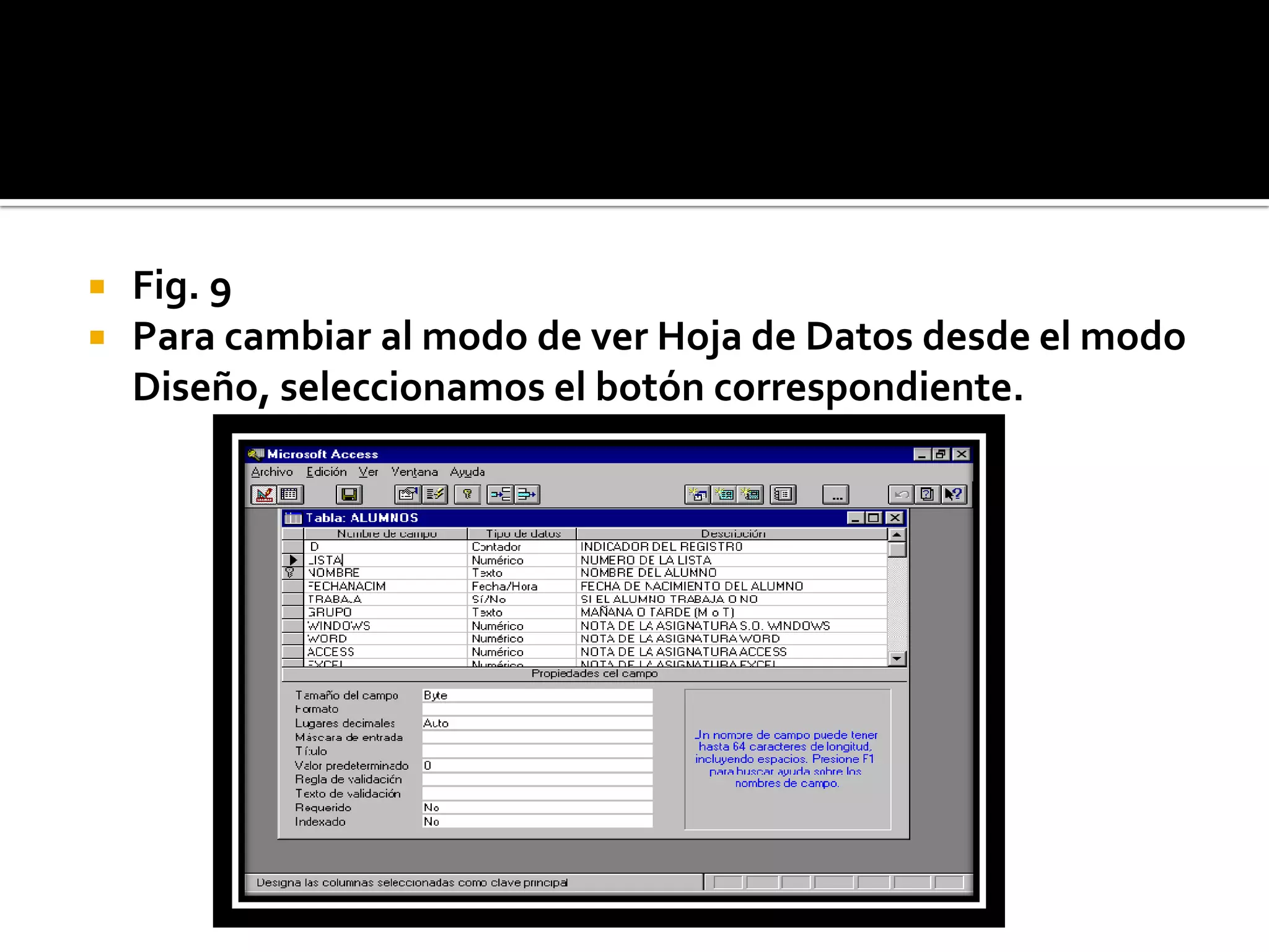  Fig. 9
 Para cambiar al modo de ver Hoja de Datos desde el modo
Diseño, seleccionamos el botón correspondiente.
 