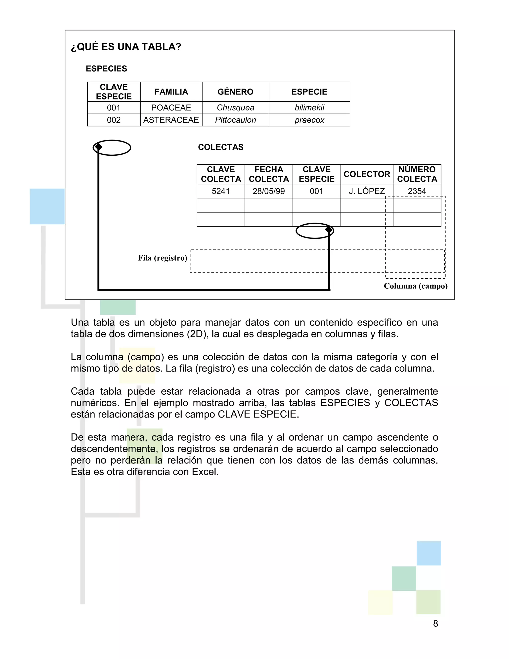 8
¿QUÉ ES UNA TABLA?
ESPECIES
COLECTAS
Una tabla es un objeto para manejar datos con un contenido específico en una
tabla de dos dimensiones (2D), la cual es desplegada en columnas y filas.
La columna (campo) es una colección de datos con la misma categoría y con el
mismo tipo de datos. La fila (registro) es una colección de datos de cada columna.
Cada tabla puede estar relacionada a otras por campos clave, generalmente
numéricos. En el ejemplo mostrado arriba, las tablas ESPECIES y COLECTAS
están relacionadas por el campo CLAVE ESPECIE.
De esta manera, cada registro es una fila y al ordenar un campo ascendente o
descendentemente, los registros se ordenarán de acuerdo al campo seleccionado
pero no perderán la relación que tienen con los datos de las demás columnas.
Esta es otra diferencia con Excel.
CLAVE
ESPECIE
FAMILIA GÉNERO ESPECIE
001 POACEAE Chusquea bilimekii
002 ASTERACEAE Pittocaulon praecox
CLAVE
COLECTA
FECHA
COLECTA
CLAVE
ESPECIE
COLECTOR
NÚMERO
COLECTA
5241 28/05/99 001 J. LÓPEZ 2354
Columna (campo)
Fila (registro)
 