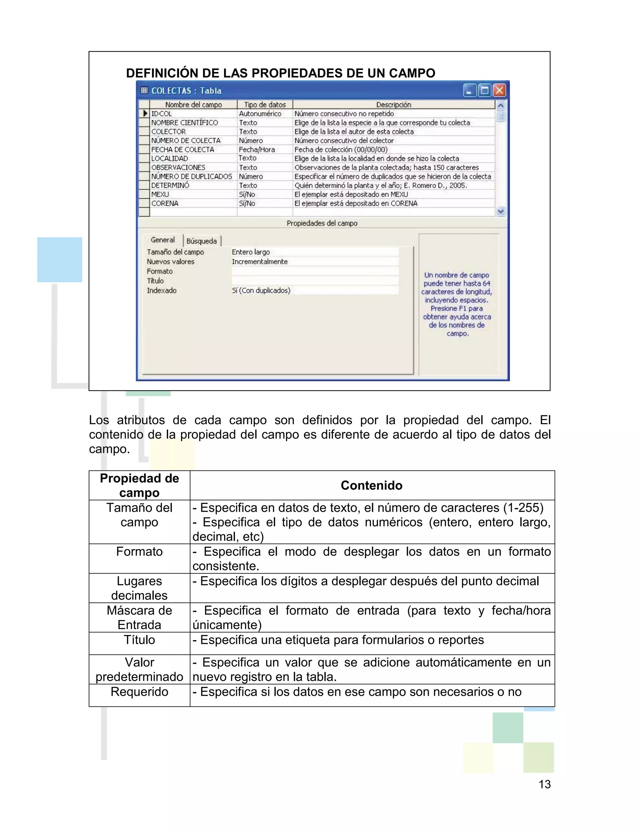 13
DEFINICIÓN DE LAS PROPIEDADES DE UN CAMPO
Los atributos de cada campo son definidos por la propiedad del campo. El
contenido de la propiedad del campo es diferente de acuerdo al tipo de datos del
campo.
Propiedad de
campo
Contenido
Tamaño del
campo
- Especifica en datos de texto, el número de caracteres (1-255)
- Especifica el tipo de datos numéricos (entero, entero largo,
decimal, etc)
Formato - Especifica el modo de desplegar los datos en un formato
consistente.
Lugares
decimales
- Especifica los dígitos a desplegar después del punto decimal
Máscara de
Entrada
- Especifica el formato de entrada (para texto y fecha/hora
únicamente)
Título - Especifica una etiqueta para formularios o reportes
Valor
predeterminado
- Especifica un valor que se adicione automáticamente en un
nuevo registro en la tabla.
Requerido - Especifica si los datos en ese campo son necesarios o no
 