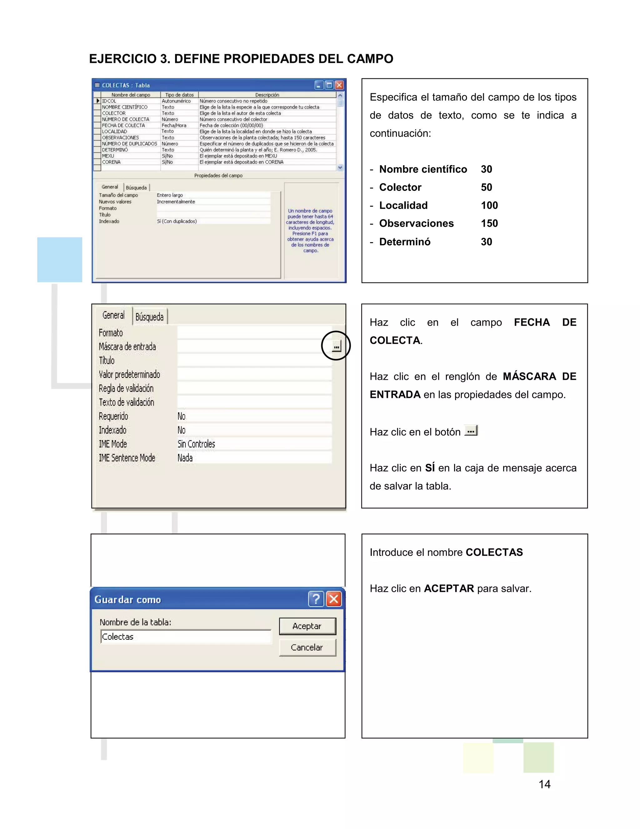 14
Introduce el nombre COLECTAS
Haz clic en ACEPTAR para salvar.
EJERCICIO 3. DEFINE PROPIEDADES DEL CAMPO
Especifica el tamaño del campo de los tipos
de datos de texto, como se te indica a
continuación:
- Nombre científico 30
- Colector 50
- Localidad 100
- Observaciones 150
- Determinó 30
Haz clic en el campo FECHA DE
COLECTA.
Haz clic en el renglón de MÁSCARA DE
ENTRADA en las propiedades del campo.
Haz clic en el botón
Haz clic en SÍ en la caja de mensaje acerca
de salvar la tabla.
 