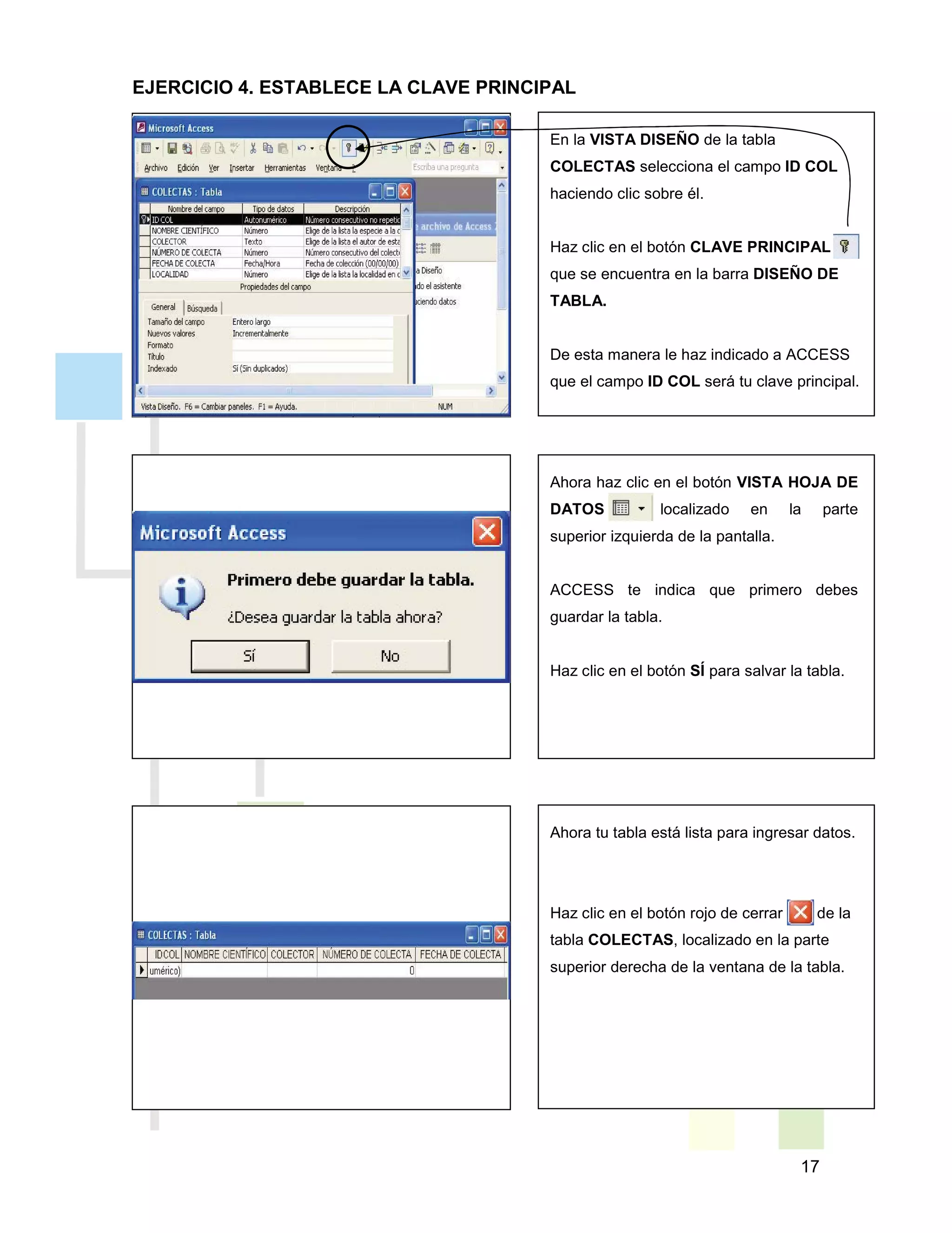 17
En la VISTA DISEÑO de la tabla
COLECTAS selecciona el campo ID COL
haciendo clic sobre él.
Haz clic en el botón CLAVE PRINCIPAL
que se encuentra en la barra DISEÑO DE
TABLA.
De esta manera le haz indicado a ACCESS
que el campo ID COL será tu clave principal.
Ahora haz clic en el botón VISTA HOJA DE
DATOS localizado en la parte
superior izquierda de la pantalla.
ACCESS te indica que primero debes
guardar la tabla.
Haz clic en el botón SÍ para salvar la tabla.
Ahora tu tabla está lista para ingresar datos.
Haz clic en el botón rojo de cerrar de la
tabla COLECTAS, localizado en la parte
superior derecha de la ventana de la tabla.
EJERCICIO 4. ESTABLECE LA CLAVE PRINCIPAL
 