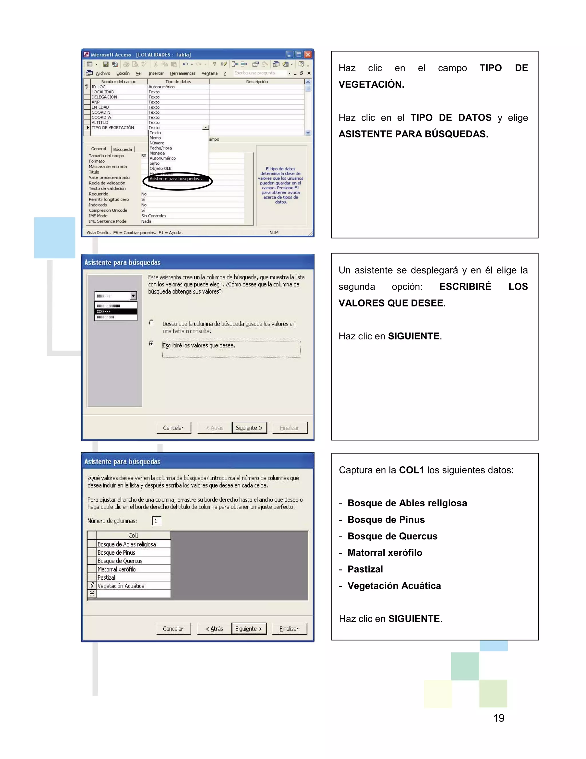 19
Haz clic en el campo TIPO DE
VEGETACIÓN.
Haz clic en el TIPO DE DATOS y elige
ASISTENTE PARA BÚSQUEDAS.
Un asistente se desplegará y en él elige la
segunda opción: ESCRIBIRÉ LOS
VALORES QUE DESEE.
Haz clic en SIGUIENTE.
Captura en la COL1 los siguientes datos:
- Bosque de Abies religiosa
- Bosque de Pinus
- Bosque de Quercus
- Matorral xerófilo
- Pastizal
- Vegetación Acuática
Haz clic en SIGUIENTE.
 