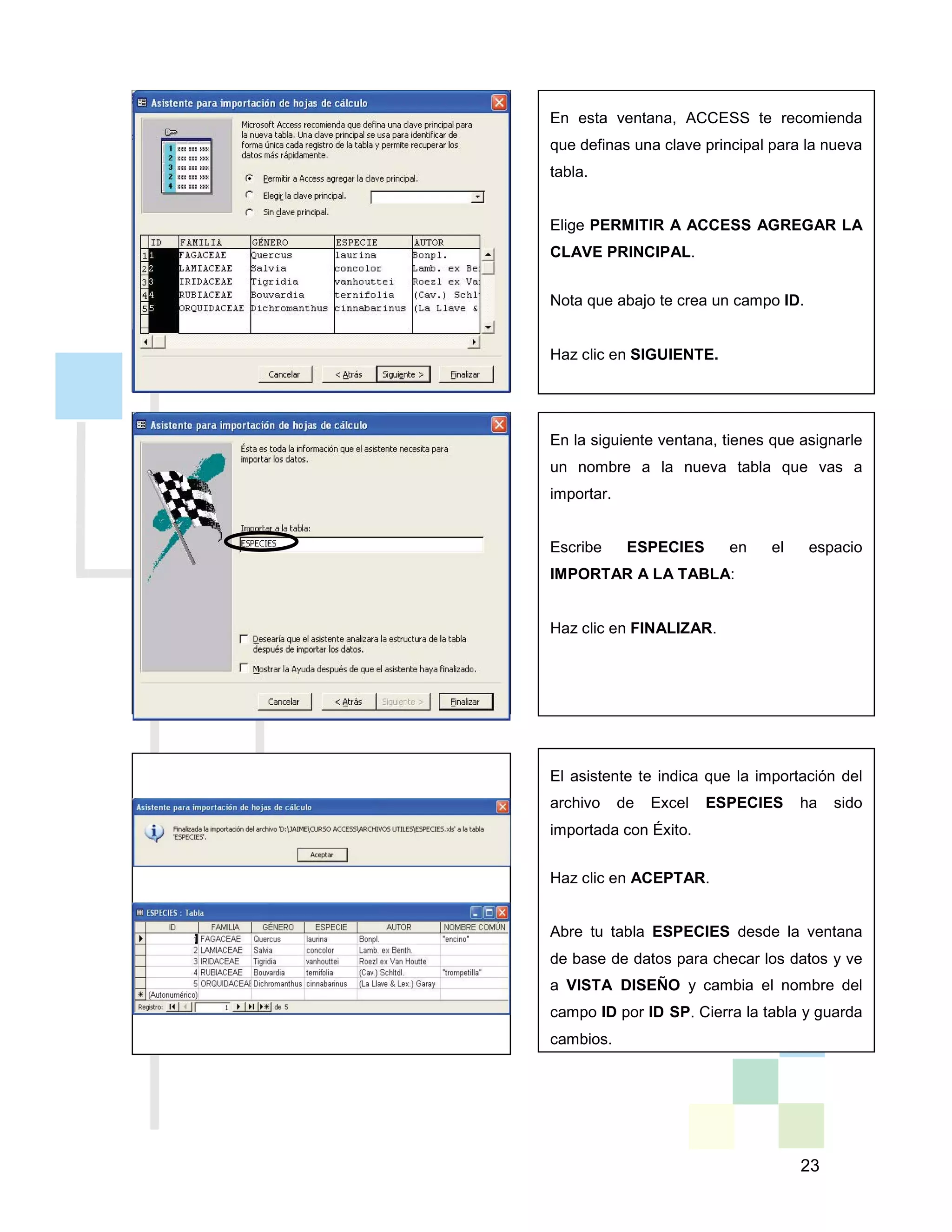 23
En esta ventana, ACCESS te recomienda
que definas una clave principal para la nueva
tabla.
Elige PERMITIR A ACCESS AGREGAR LA
CLAVE PRINCIPAL.
Nota que abajo te crea un campo ID.
Haz clic en SIGUIENTE.
En la siguiente ventana, tienes que asignarle
un nombre a la nueva tabla que vas a
importar.
Escribe ESPECIES en el espacio
IMPORTAR A LA TABLA:
Haz clic en FINALIZAR.
El asistente te indica que la importación del
archivo de Excel ESPECIES ha sido
importada con Éxito.
Haz clic en ACEPTAR.
Abre tu tabla ESPECIES desde la ventana
de base de datos para checar los datos y ve
a VISTA DISEÑO y cambia el nombre del
campo ID por ID SP. Cierra la tabla y guarda
cambios.
 