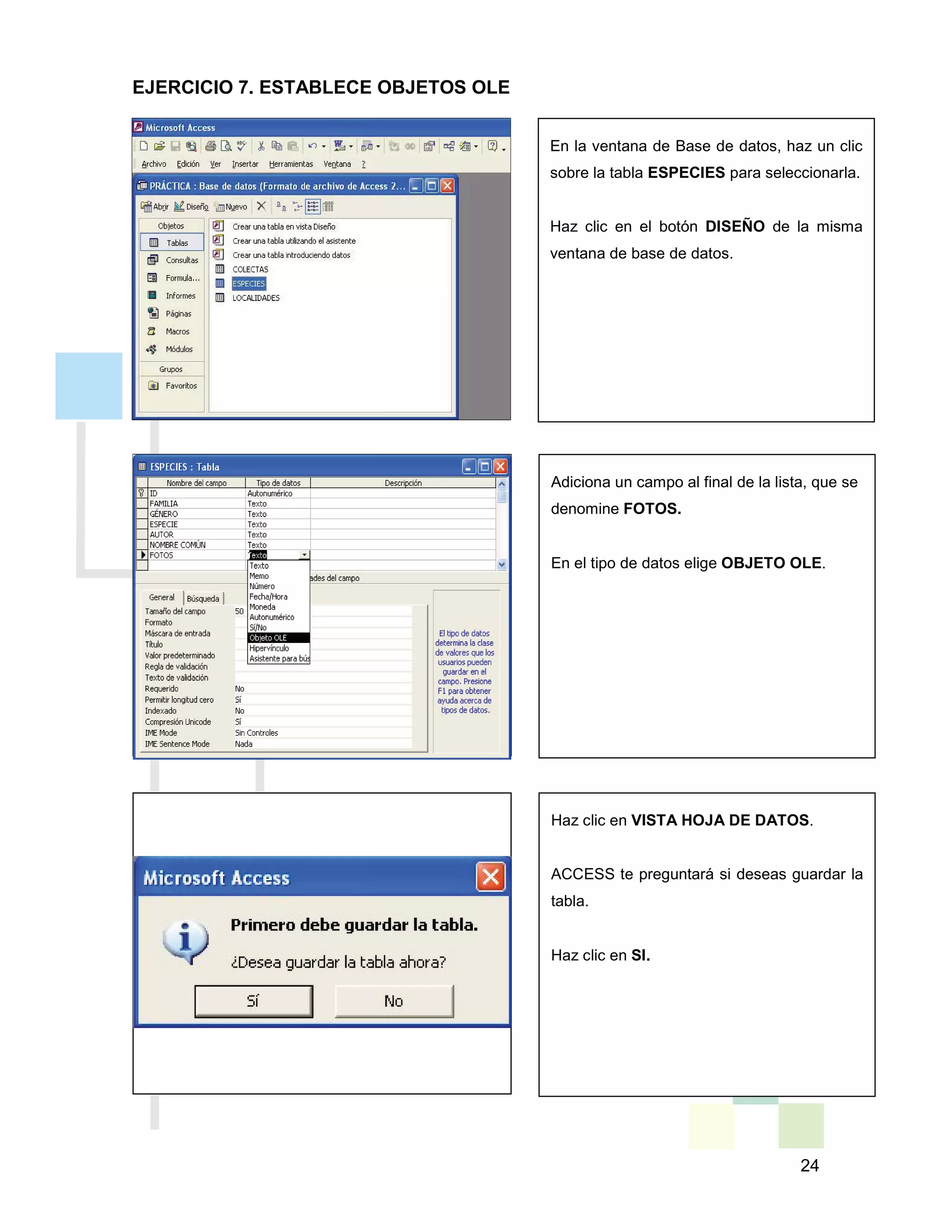24
En la ventana de Base de datos, haz un clic
sobre la tabla ESPECIES para seleccionarla.
Haz clic en el botón DISEÑO de la misma
ventana de base de datos.
Adiciona un campo al final de la lista, que se
denomine FOTOS.
En el tipo de datos elige OBJETO OLE.
Haz clic en VISTA HOJA DE DATOS.
ACCESS te preguntará si deseas guardar la
tabla.
Haz clic en SI.
EJERCICIO 7. ESTABLECE OBJETOS OLE
 