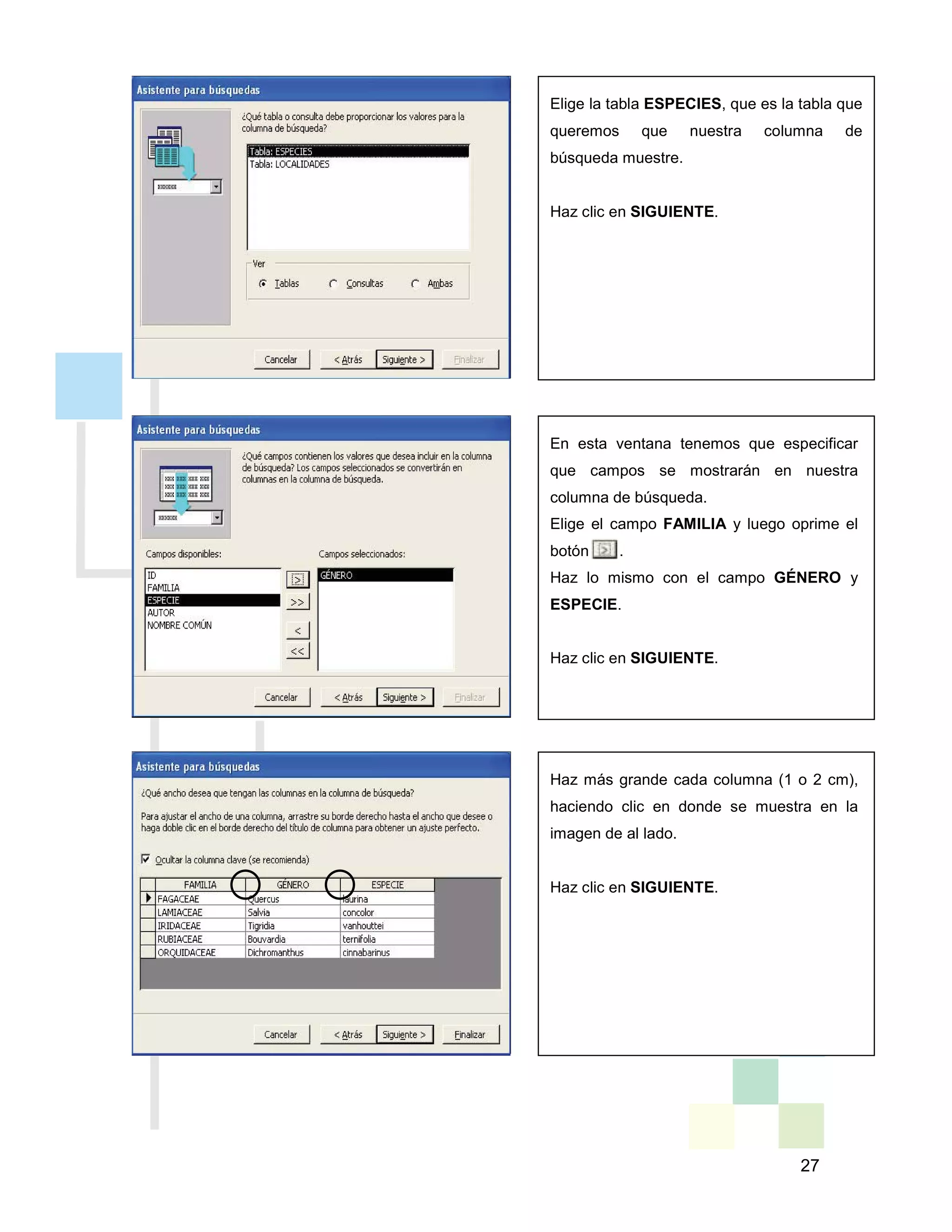 27
Elige la tabla ESPECIES, que es la tabla que
queremos que nuestra columna de
búsqueda muestre.
Haz clic en SIGUIENTE.
En esta ventana tenemos que especificar
que campos se mostrarán en nuestra
columna de búsqueda.
Elige el campo FAMILIA y luego oprime el
botón . .
Haz lo mismo con el campo GÉNERO y
ESPECIE.
Haz clic en SIGUIENTE.
Haz más grande cada columna (1 o 2 cm),
haciendo clic en donde se muestra en la
imagen de al lado.
Haz clic en SIGUIENTE.
 