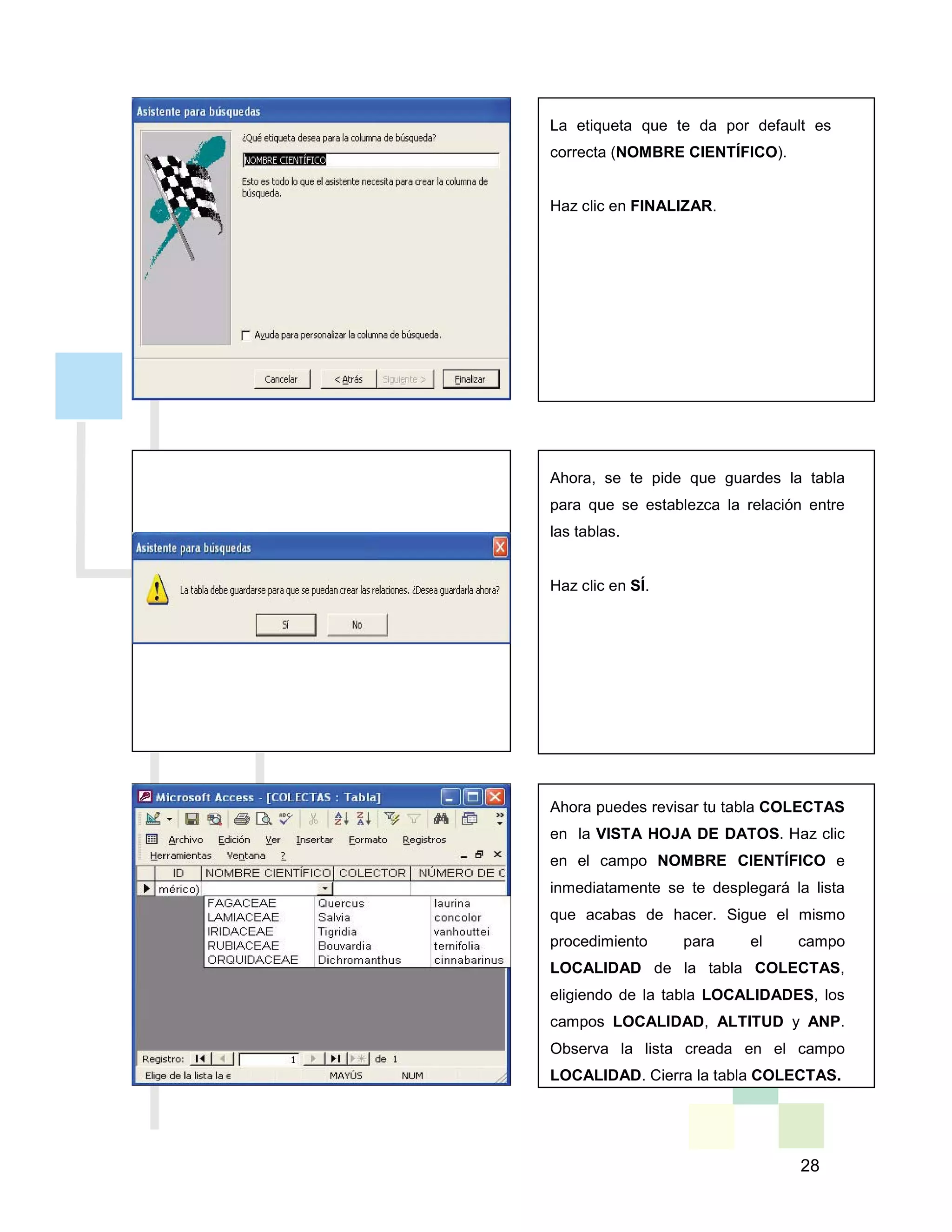 28
La etiqueta que te da por default es
correcta (NOMBRE CIENTÍFICO).
Haz clic en FINALIZAR.
Ahora, se te pide que guardes la tabla
para que se establezca la relación entre
las tablas.
Haz clic en SÍ.
Ahora puedes revisar tu tabla COLECTAS
en la VISTA HOJA DE DATOS. Haz clic
en el campo NOMBRE CIENTÍFICO e
inmediatamente se te desplegará la lista
que acabas de hacer. Sigue el mismo
procedimiento para el campo
LOCALIDAD de la tabla COLECTAS,
eligiendo de la tabla LOCALIDADES, los
campos LOCALIDAD, ALTITUD y ANP.
Observa la lista creada en el campo
LOCALIDAD. Cierra la tabla COLECTAS.
 