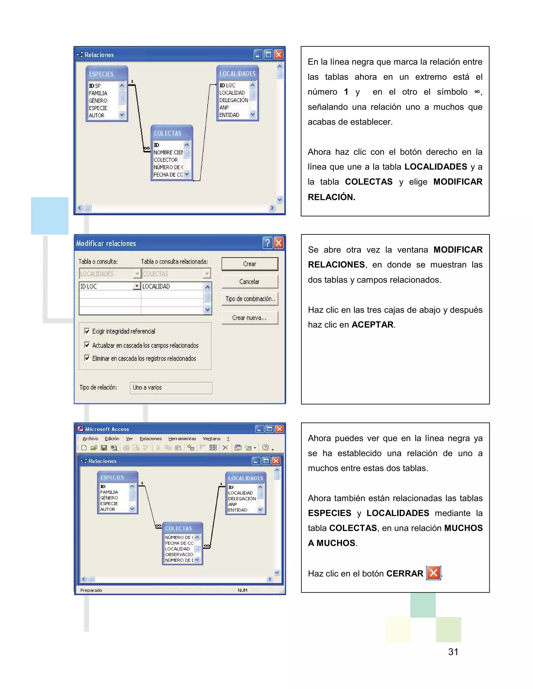31
En la línea negra que marca la relación entre
las tablas ahora en un extremo está el
número 1 y en el otro el símbolo ’,
señalando una relación uno a muchos que
acabas de establecer.
Ahora haz clic con el botón derecho en la
línea que une a la tabla LOCALIDADES y a
la tabla COLECTAS y elige MODIFICAR
RELACIÓN.
Se abre otra vez la ventana MODIFICAR
RELACIONES, en donde se muestran las
dos tablas y campos relacionados.
Haz clic en las tres cajas de abajo y después
haz clic en ACEPTAR.
Ahora puedes ver que en la línea negra ya
se ha establecido una relación de uno a
muchos entre estas dos tablas.
Ahora también están relacionadas las tablas
ESPECIES y LOCALIDADES mediante la
tabla COLECTAS, en una relación MUCHOS
A MUCHOS.
Haz clic en el botón CERRAR .
 