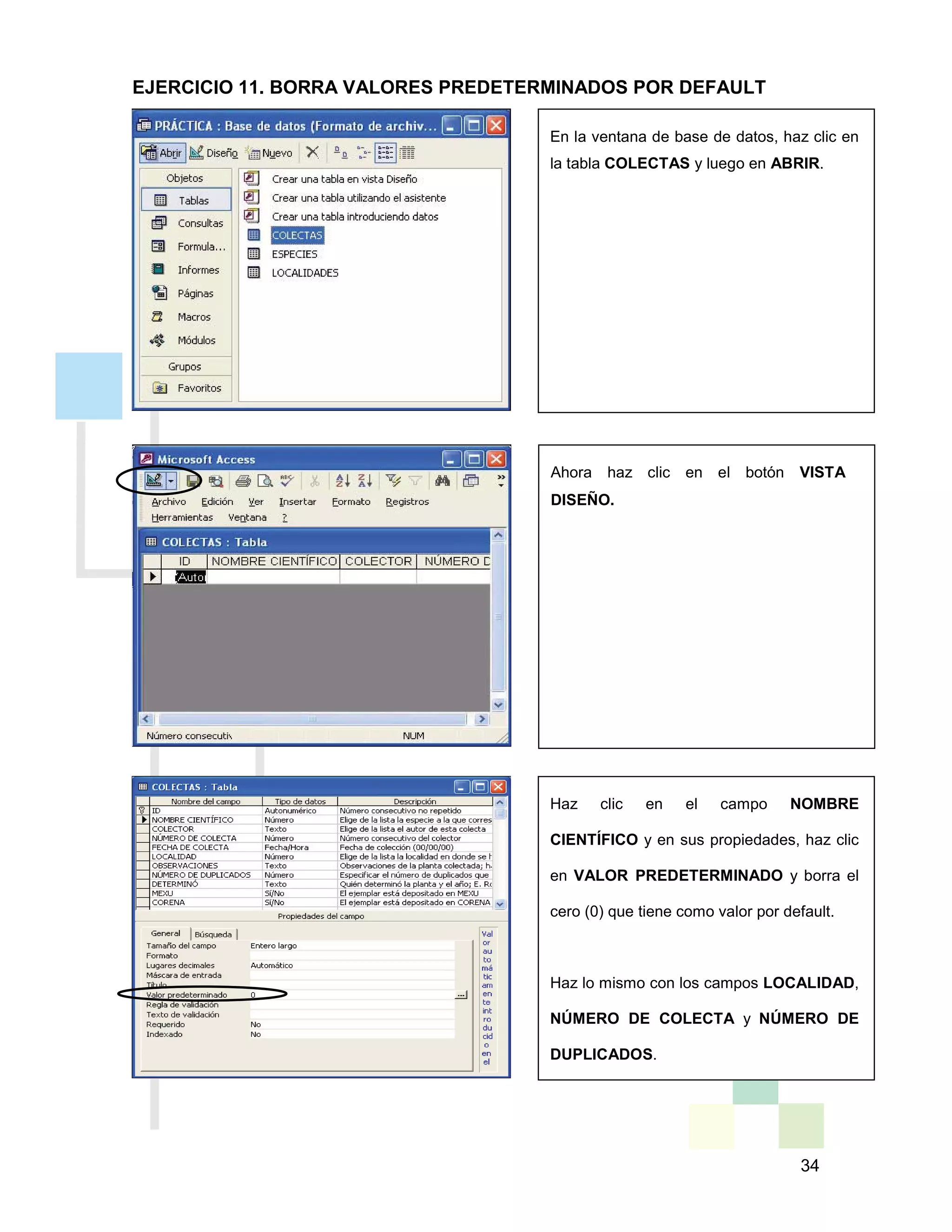 34
En la ventana de base de datos, haz clic en
la tabla COLECTAS y luego en ABRIR.
Haz clic en el campo NOMBRE
CIENTÍFICO y en sus propiedades, haz clic
en VALOR PREDETERMINADO y borra el
cero (0) que tiene como valor por default.
Haz lo mismo con los campos LOCALIDAD,
NÚMERO DE COLECTA y NÚMERO DE
DUPLICADOS.
Ahora haz clic en el botón VISTA
DISEÑO.
EJERCICIO 11. BORRA VALORES PREDETERMINADOS POR DEFAULT
 