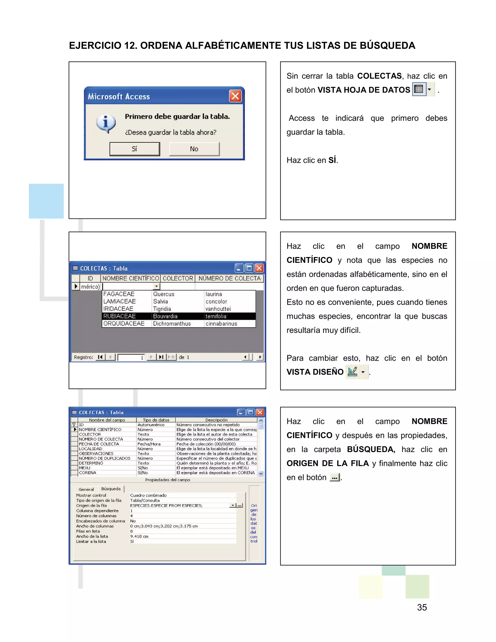 35
Sin cerrar la tabla COLECTAS, haz clic en
el botón VISTA HOJA DE DATOS .
Access te indicará que primero debes
guardar la tabla.
Haz clic en SÍ.
Haz clic en el campo NOMBRE
CIENTÍFICO y nota que las especies no
están ordenadas alfabéticamente, sino en el
orden en que fueron capturadas.
Esto no es conveniente, pues cuando tienes
muchas especies, encontrar la que buscas
resultaría muy difícil.
Para cambiar esto, haz clic en el botón
VISTA DISEÑO .
Haz clic en el campo NOMBRE
CIENTÍFICO y después en las propiedades,
en la carpeta BÚSQUEDA, haz clic en
ORIGEN DE LA FILA y finalmente haz clic
en el botón .
EJERCICIO 12. ORDENA ALFABÉTICAMENTE TUS LISTAS DE BÚSQUEDA
 