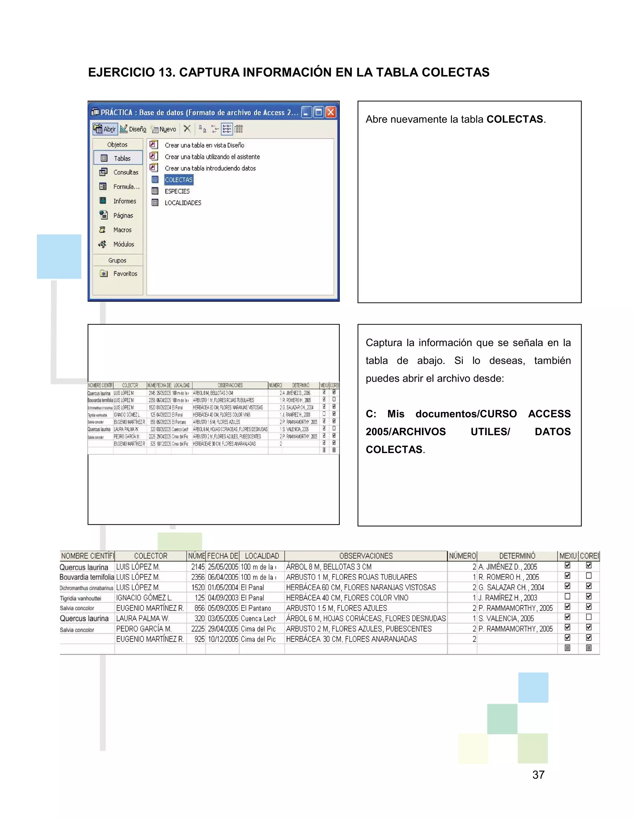 37
Captura la información que se señala en la
tabla de abajo. Si lo deseas, también
puedes abrir el archivo desde:
C: Mis documentos/CURSO ACCESS
2005/ARCHIVOS UTILES/ DATOS
COLECTAS.
Abre nuevamente la tabla COLECTAS.
EJERCICIO 13. CAPTURA INFORMACIÓN EN LA TABLA COLECTAS
 