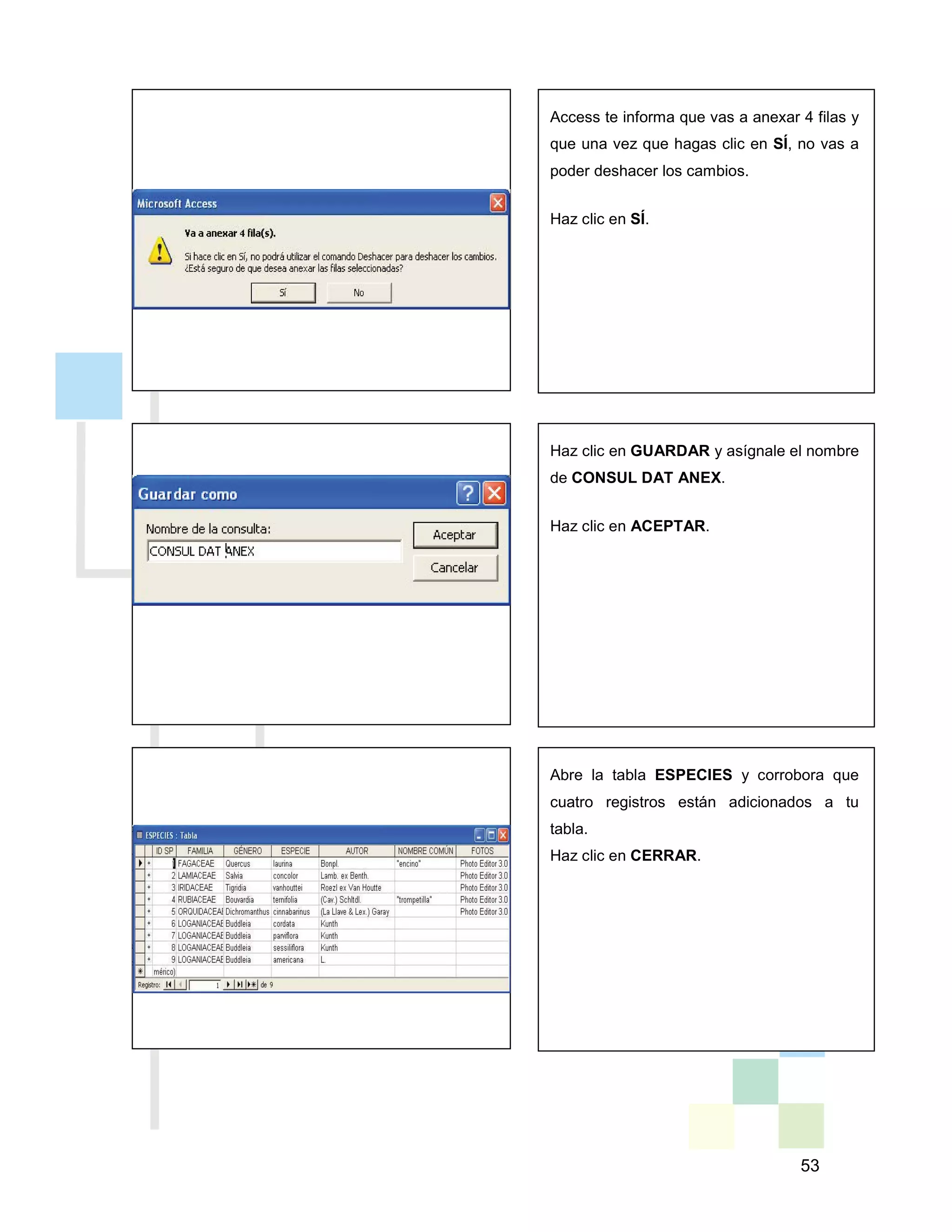 53
Access te informa que vas a anexar 4 filas y
que una vez que hagas clic en SÍ, no vas a
poder deshacer los cambios.
Haz clic en SÍ.
Haz clic en GUARDAR y asígnale el nombre
de CONSUL DAT ANEX.
Haz clic en ACEPTAR.
Abre la tabla ESPECIES y corrobora que
cuatro registros están adicionados a tu
tabla.
Haz clic en CERRAR.
 