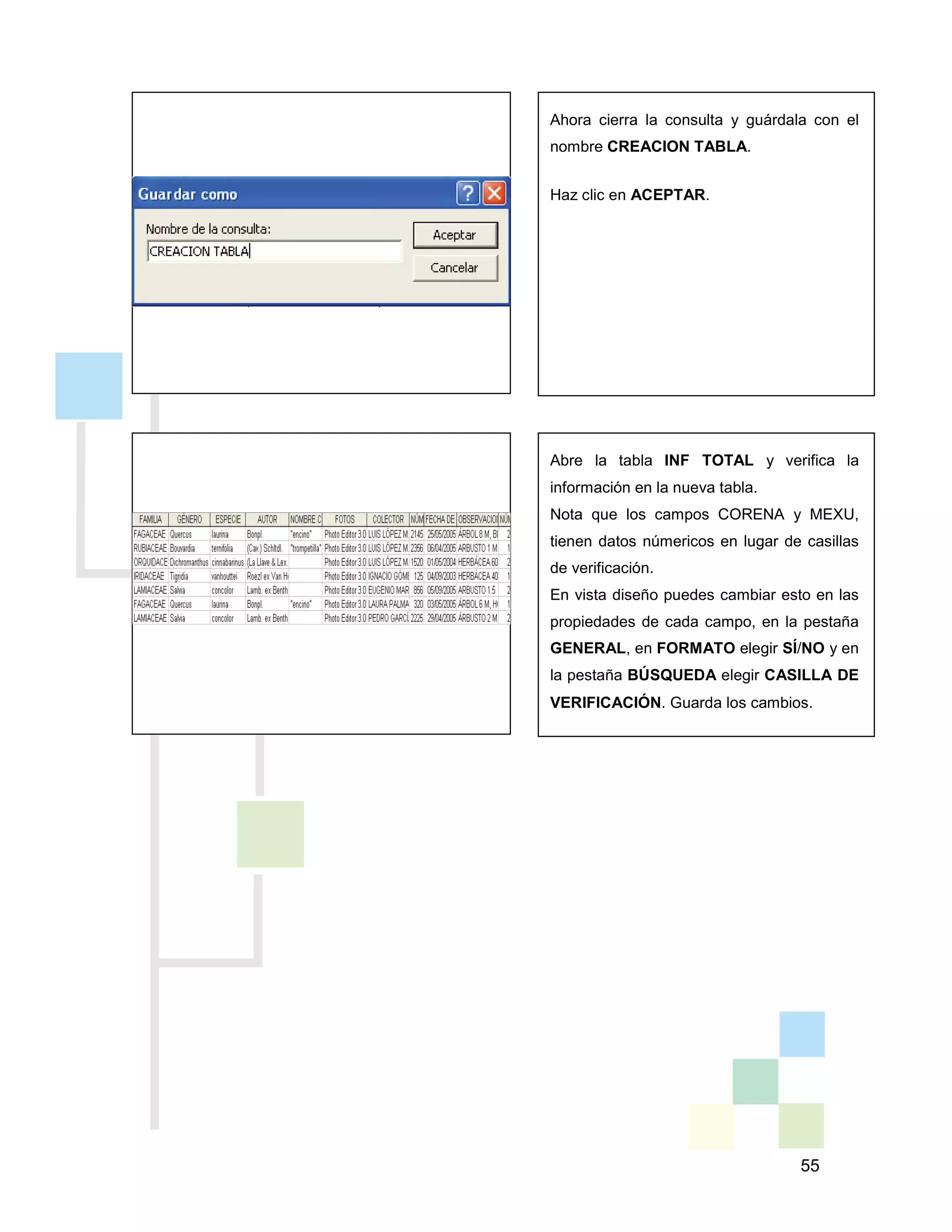 55
Ahora cierra la consulta y guárdala con el
nombre CREACION TABLA.
Haz clic en ACEPTAR.
Abre la tabla INF TOTAL y verifica la
información en la nueva tabla.
Nota que los campos CORENA y MEXU,
tienen datos númericos en lugar de casillas
de verificación.
En vista diseño puedes cambiar esto en las
propiedades de cada campo, en la pestaña
GENERAL, en FORMATO elegir SÍ/NO y en
la pestaña BÚSQUEDA elegir CASILLA DE
VERIFICACIÓN. Guarda los cambios.
 