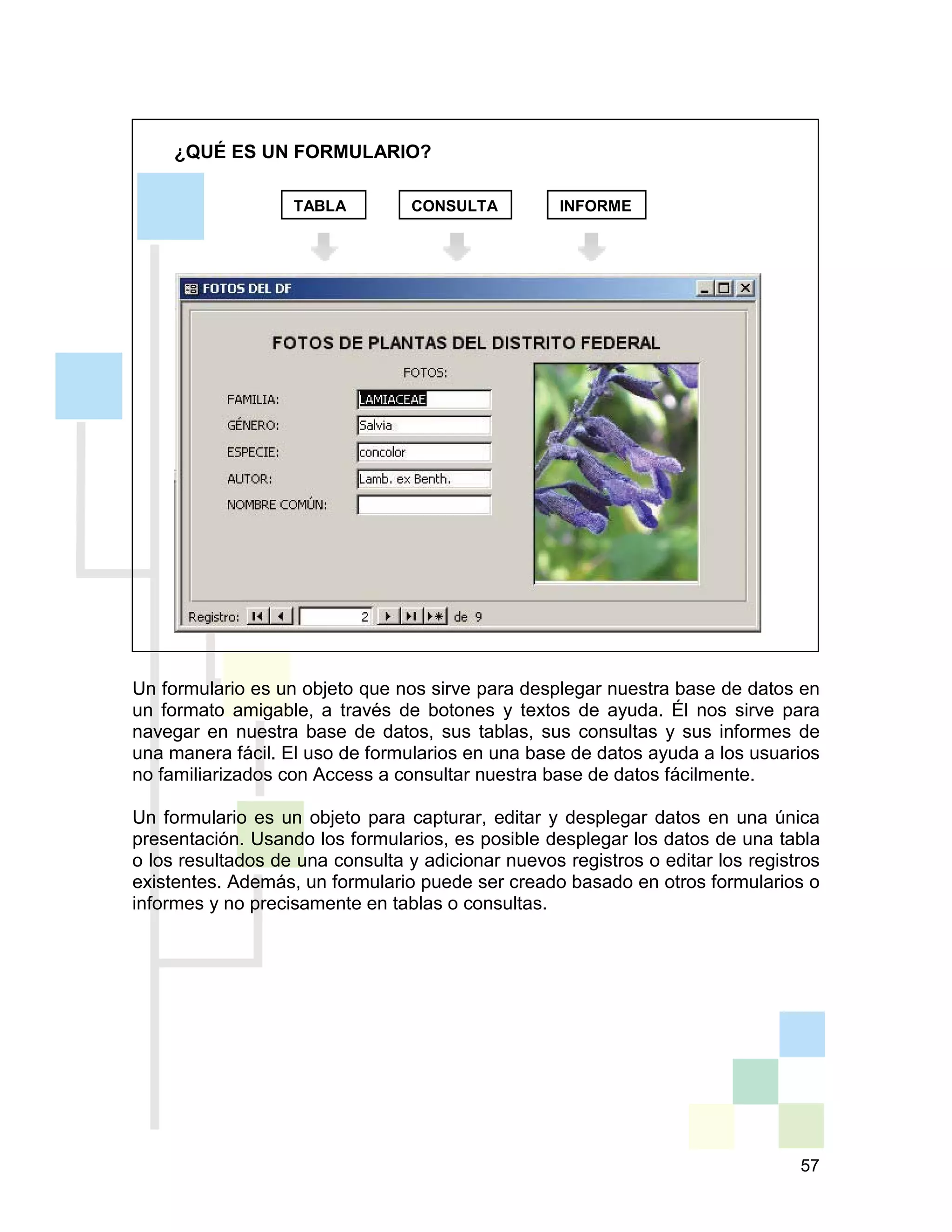 57
¿QUÉ ES UN FORMULARIO?
Un formulario es un objeto que nos sirve para desplegar nuestra base de datos en
un formato amigable, a través de botones y textos de ayuda. Él nos sirve para
navegar en nuestra base de datos, sus tablas, sus consultas y sus informes de
una manera fácil. El uso de formularios en una base de datos ayuda a los usuarios
no familiarizados con Access a consultar nuestra base de datos fácilmente.
Un formulario es un objeto para capturar, editar y desplegar datos en una única
presentación. Usando los formularios, es posible desplegar los datos de una tabla
o los resultados de una consulta y adicionar nuevos registros o editar los registros
existentes. Además, un formulario puede ser creado basado en otros formularios o
informes y no precisamente en tablas o consultas.
TABLA CONSULTA INFORME
 