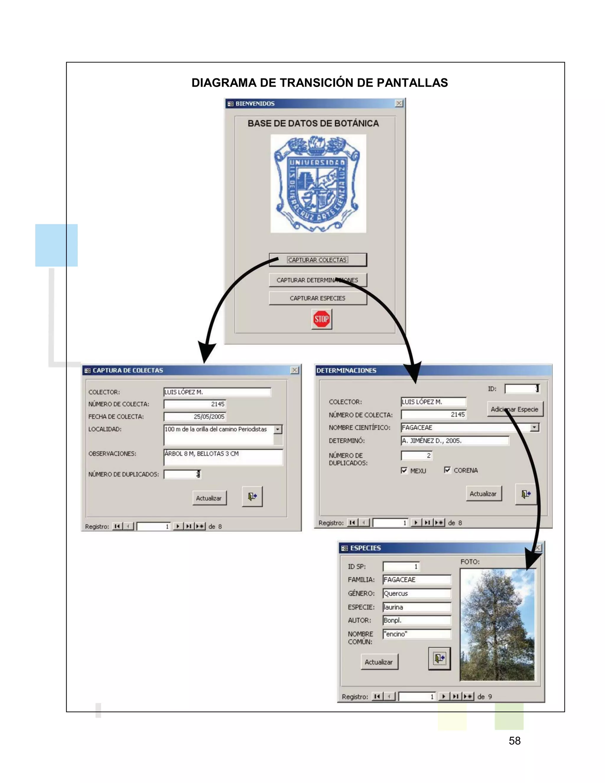 58
DIAGRAMA DE TRANSICIÓN DE PANTALLAS
 