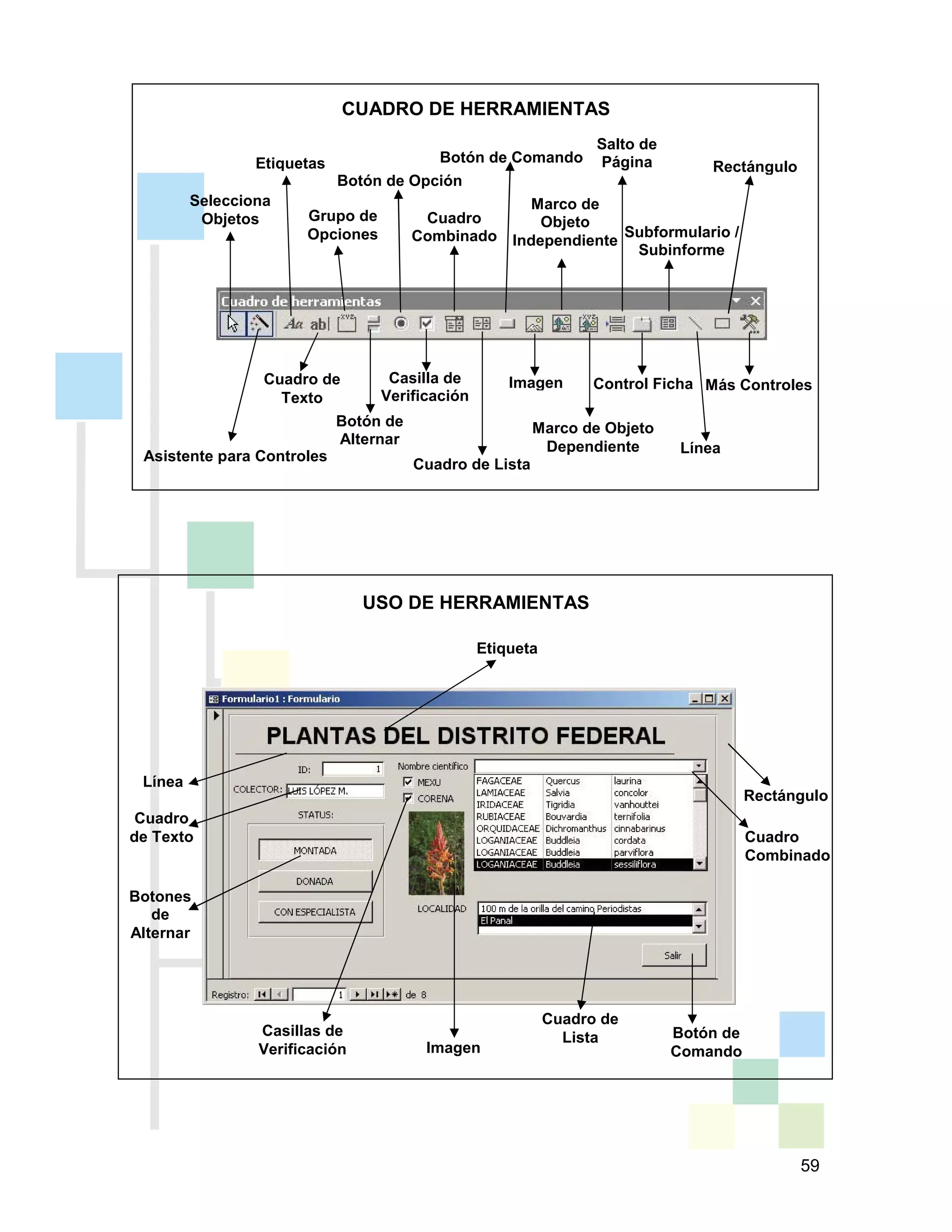 59
CUADRO DE HERRAMIENTAS
USO DE HERRAMIENTAS
Selecciona
Objetos
Asistente para Controles
Etiquetas
Cuadro de
Texto
Grupo de
Opciones
Botón de
Alternar
Botón de Opción
Casilla de
Verificación
Cuadro
Combinado
Cuadro de Lista
Botón de Comando
Imagen
Marco de Objeto
Dependiente
Marco de
Objeto
Independiente
Salto de
Página
Control Ficha
Subformulario /
Subinforme
Línea
Rectángulo
Más Controles
Etiqueta
Cuadro
de Texto
Línea
Botones
de
Alternar
Casillas de
Verificación Imagen
Rectángulo
Cuadro
Combinado
Cuadro de
Lista Botón de
Comando
 