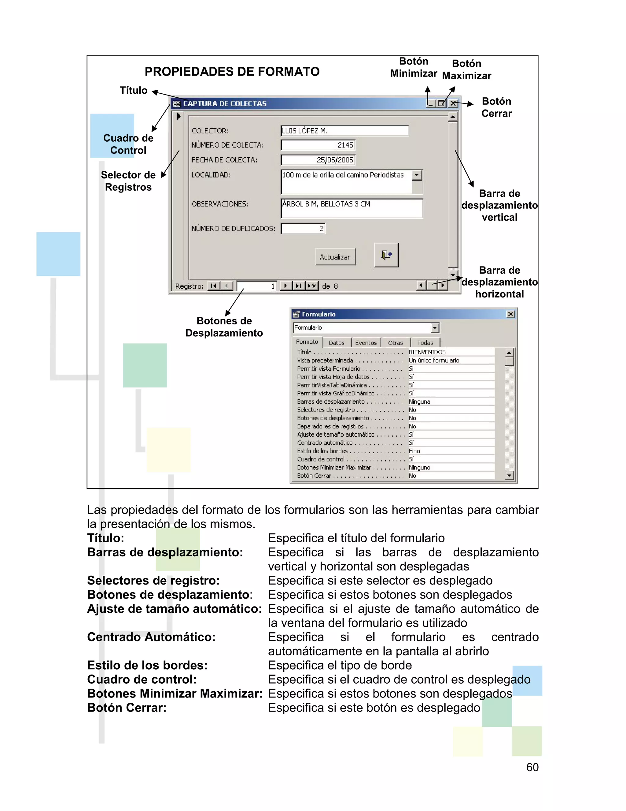 60
PROPIEDADES DE FORMATO
Las propiedades del formato de los formularios son las herramientas para cambiar
la presentación de los mismos.
Título: Especifica el título del formulario
Barras de desplazamiento: Especifica si las barras de desplazamiento
vertical y horizontal son desplegadas
Selectores de registro: Especifica si este selector es desplegado
Botones de desplazamiento: Especifica si estos botones son desplegados
Ajuste de tamaño automático: Especifica si el ajuste de tamaño automático de
la ventana del formulario es utilizado
Centrado Automático: Especifica si el formulario es centrado
automáticamente en la pantalla al abrirlo
Estilo de los bordes: Especifica el tipo de borde
Cuadro de control: Especifica si el cuadro de control es desplegado
Botones Minimizar Maximizar: Especifica si estos botones son desplegados
Botón Cerrar: Especifica si este botón es desplegado
Botón
Minimizar
Botón
Maximizar
Cuadro de
Control
Selector de
Registros
Botones de
Desplazamiento
Barra de
desplazamiento
horizontal
Barra de
desplazamiento
vertical
Botón
Cerrar
Título
 