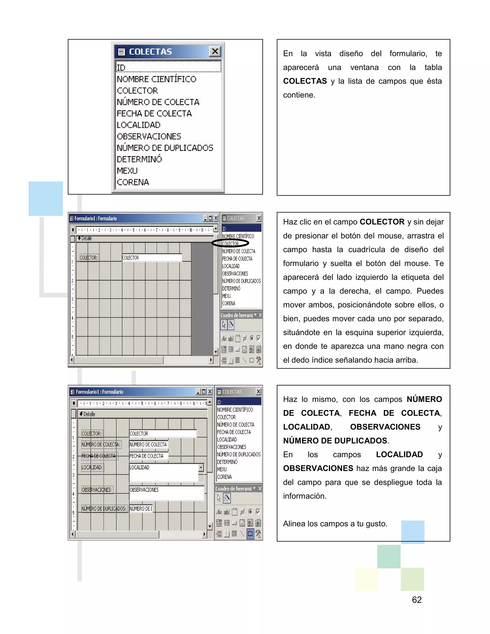 62
En la vista diseño del formulario, te
aparecerá una ventana con la tabla
COLECTAS y la lista de campos que ésta
contiene.
Haz clic en el campo COLECTOR y sin dejar
de presionar el botón del mouse, arrastra el
campo hasta la cuadrícula de diseño del
formulario y suelta el botón del mouse. Te
aparecerá del lado izquierdo la etiqueta del
campo y a la derecha, el campo. Puedes
mover ambos, posicionándote sobre ellos, o
bien, puedes mover cada uno por separado,
situándote en la esquina superior izquierda,
en donde te aparezca una mano negra con
el dedo índice señalando hacia arriba.
Haz lo mismo, con los campos NÚMERO
DE COLECTA, FECHA DE COLECTA,
LOCALIDAD, OBSERVACIONES y
NÚMERO DE DUPLICADOS.
En los campos LOCALIDAD y
OBSERVACIONES haz más grande la caja
del campo para que se despliegue toda la
información.
Alinea los campos a tu gusto.
 