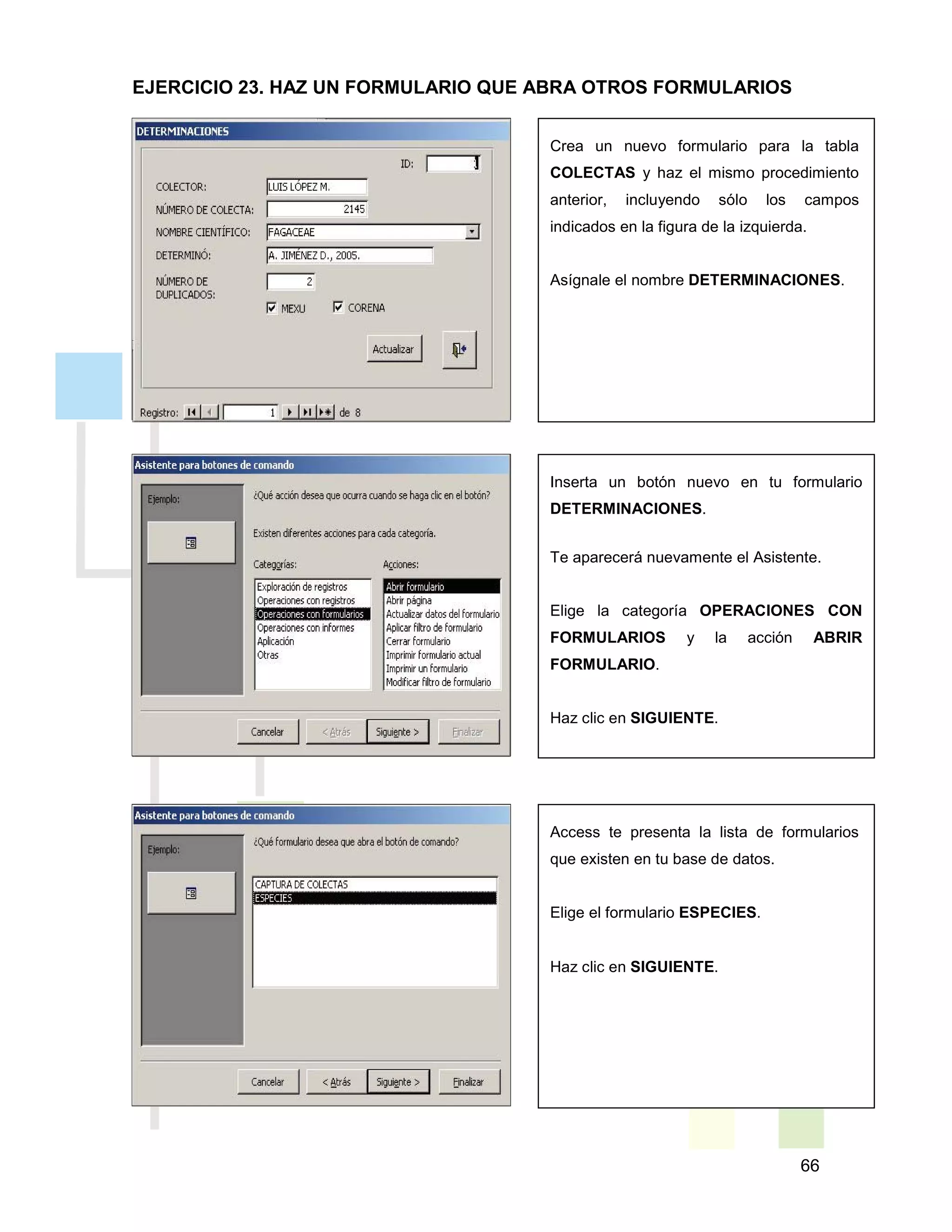 66
Crea un nuevo formulario para la tabla
COLECTAS y haz el mismo procedimiento
anterior, incluyendo sólo los campos
indicados en la figura de la izquierda.
Asígnale el nombre DETERMINACIONES.
Inserta un botón nuevo en tu formulario
DETERMINACIONES.
Te aparecerá nuevamente el Asistente.
Elige la categoría OPERACIONES CON
FORMULARIOS y la acción ABRIR
FORMULARIO.
Haz clic en SIGUIENTE.
Access te presenta la lista de formularios
que existen en tu base de datos.
Elige el formulario ESPECIES.
Haz clic en SIGUIENTE.
EJERCICIO 23. HAZ UN FORMULARIO QUE ABRA OTROS FORMULARIOS
 