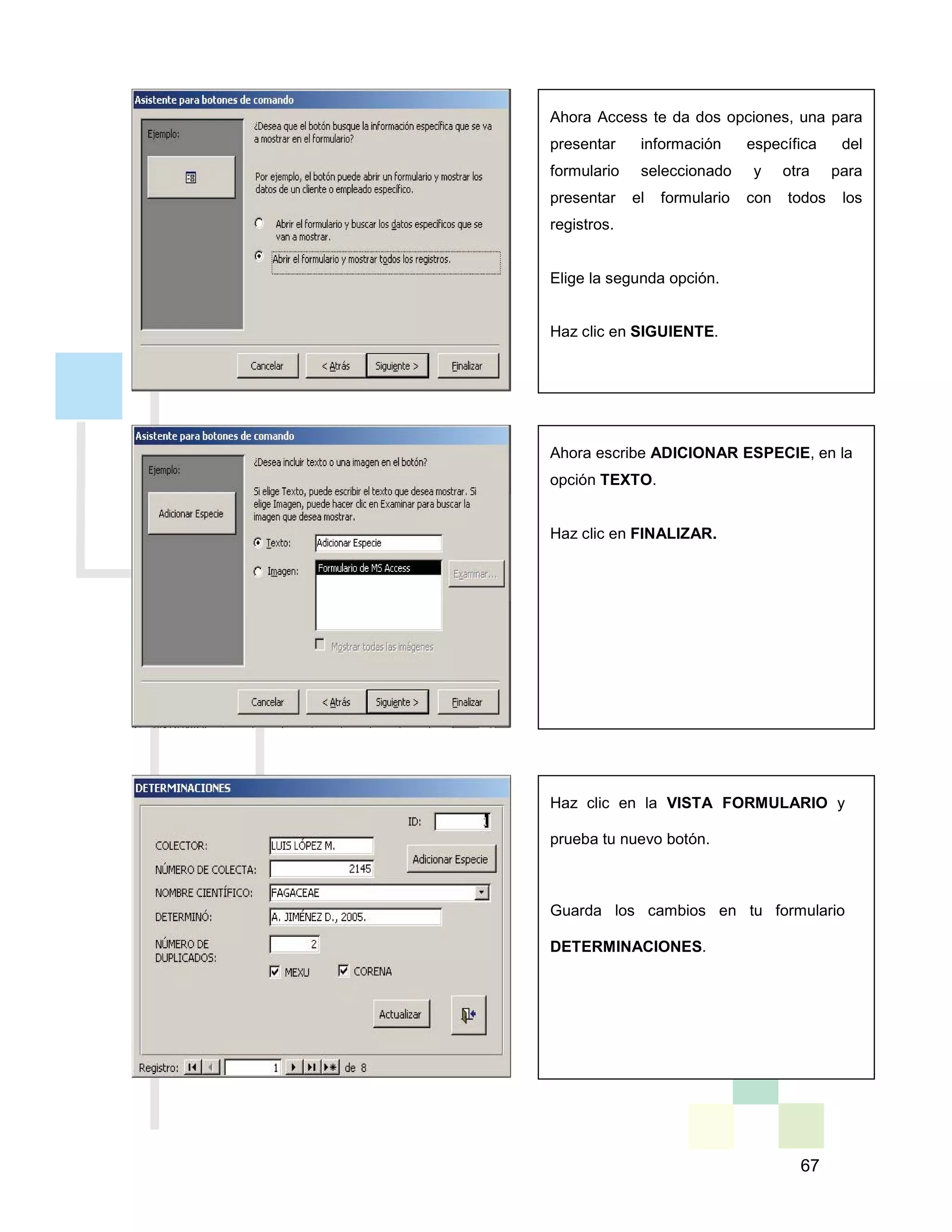 67
Ahora Access te da dos opciones, una para
presentar información específica del
formulario seleccionado y otra para
presentar el formulario con todos los
registros.
Elige la segunda opción.
Haz clic en SIGUIENTE.
Ahora escribe ADICIONAR ESPECIE, en la
opción TEXTO.
Haz clic en FINALIZAR.
Haz clic en la VISTA FORMULARIO y
prueba tu nuevo botón.
Guarda los cambios en tu formulario
DETERMINACIONES.
 