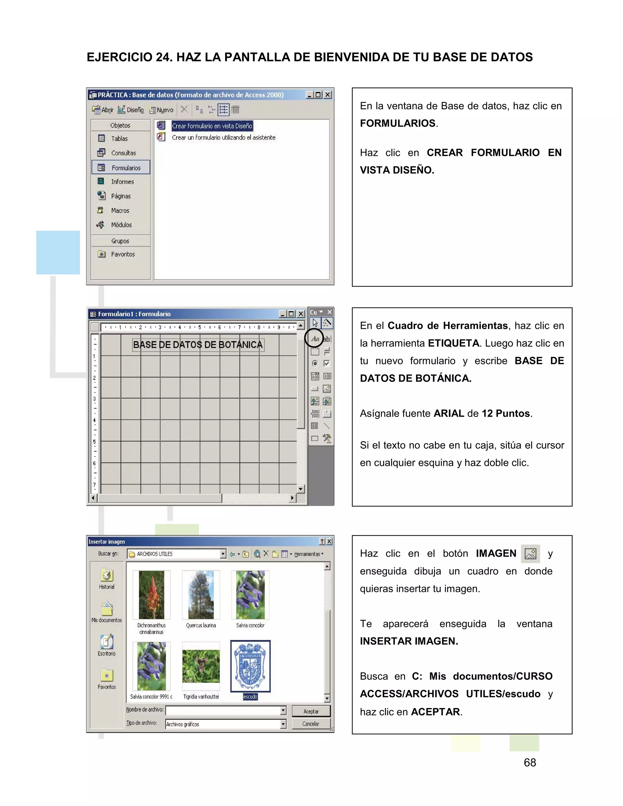 68
En la ventana de Base de datos, haz clic en
FORMULARIOS.
Haz clic en CREAR FORMULARIO EN
VISTA DISEÑO.
En el Cuadro de Herramientas, haz clic en
la herramienta ETIQUETA. Luego haz clic en
tu nuevo formulario y escribe BASE DE
DATOS DE BOTÁNICA.
Asígnale fuente ARIAL de 12 Puntos.
Si el texto no cabe en tu caja, sitúa el cursor
en cualquier esquina y haz doble clic.
Haz clic en el botón IMAGEN y
enseguida dibuja un cuadro en donde
quieras insertar tu imagen.
Te aparecerá enseguida la ventana
INSERTAR IMAGEN.
Busca en C: Mis documentos/CURSO
ACCESS/ARCHIVOS UTILES/escudo y
haz clic en ACEPTAR.
EJERCICIO 24. HAZ LA PANTALLA DE BIENVENIDA DE TU BASE DE DATOS
 