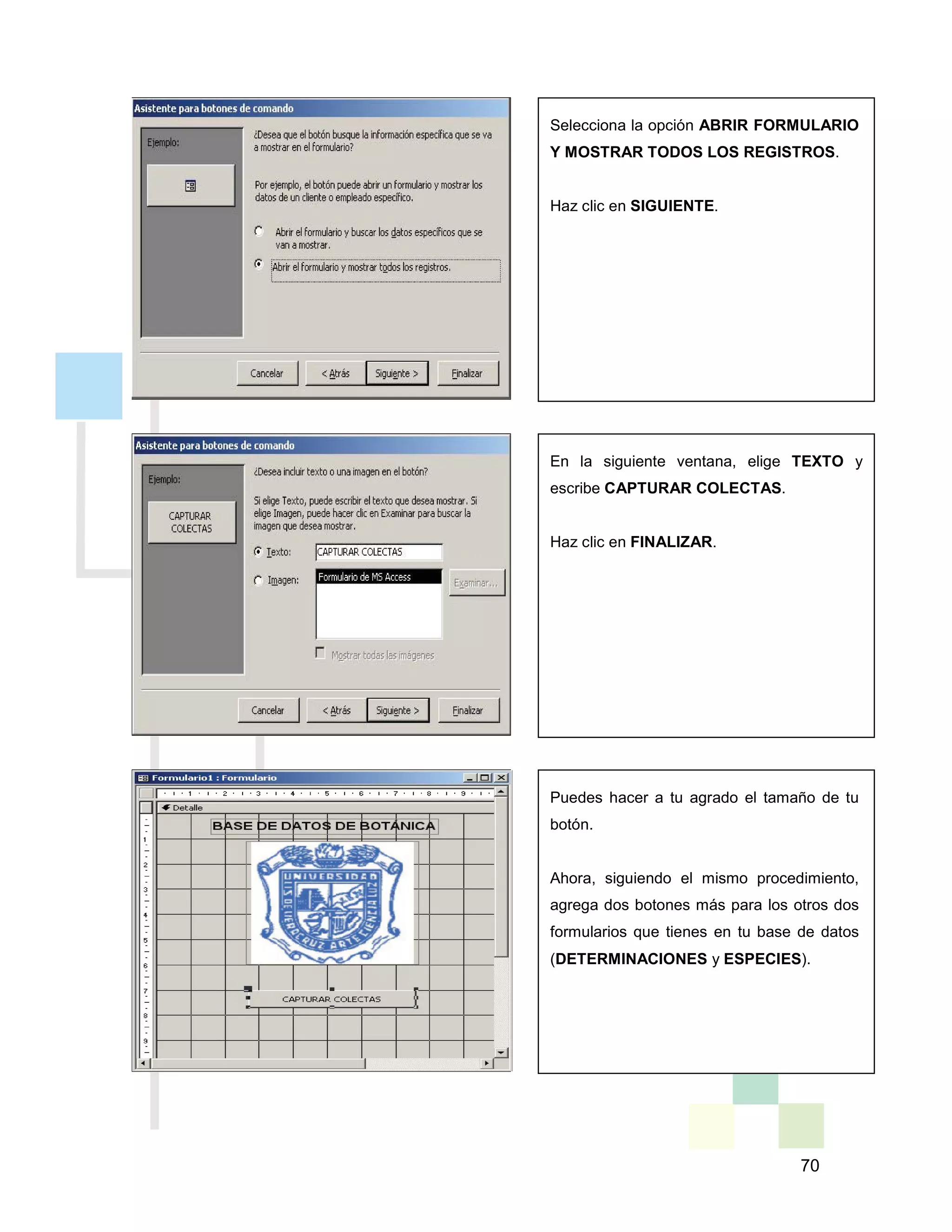 70
Selecciona la opción ABRIR FORMULARIO
Y MOSTRAR TODOS LOS REGISTROS.
Haz clic en SIGUIENTE.
En la siguiente ventana, elige TEXTO y
escribe CAPTURAR COLECTAS.
Haz clic en FINALIZAR.
Puedes hacer a tu agrado el tamaño de tu
botón.
Ahora, siguiendo el mismo procedimiento,
agrega dos botones más para los otros dos
formularios que tienes en tu base de datos
(DETERMINACIONES y ESPECIES).
 