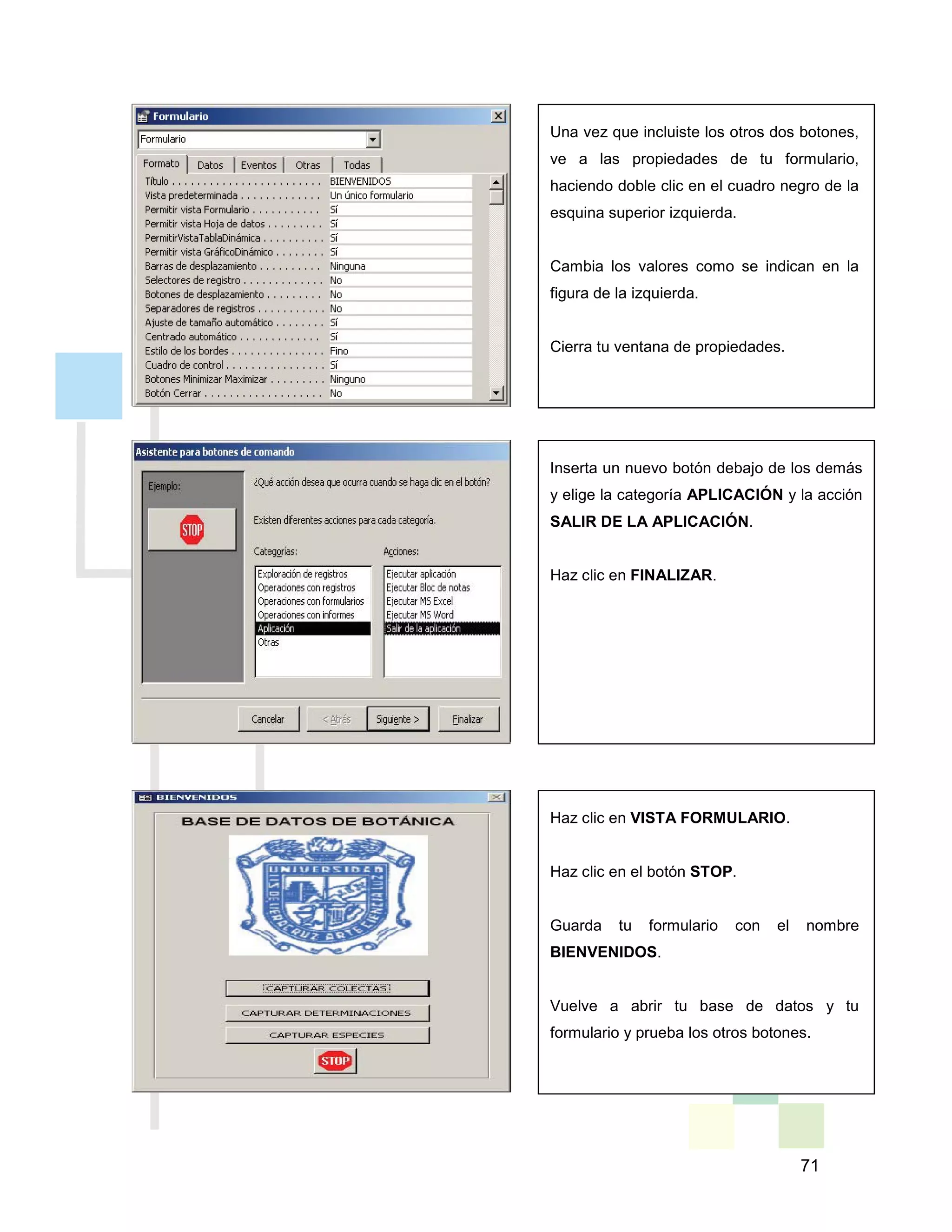 71
Una vez que incluiste los otros dos botones,
ve a las propiedades de tu formulario,
haciendo doble clic en el cuadro negro de la
esquina superior izquierda.
Cambia los valores como se indican en la
figura de la izquierda.
Cierra tu ventana de propiedades.
Inserta un nuevo botón debajo de los demás
y elige la categoría APLICACIÓN y la acción
SALIR DE LA APLICACIÓN.
Haz clic en FINALIZAR.
Haz clic en VISTA FORMULARIO.
Haz clic en el botón STOP.
Guarda tu formulario con el nombre
BIENVENIDOS.
Vuelve a abrir tu base de datos y tu
formulario y prueba los otros botones.
 
