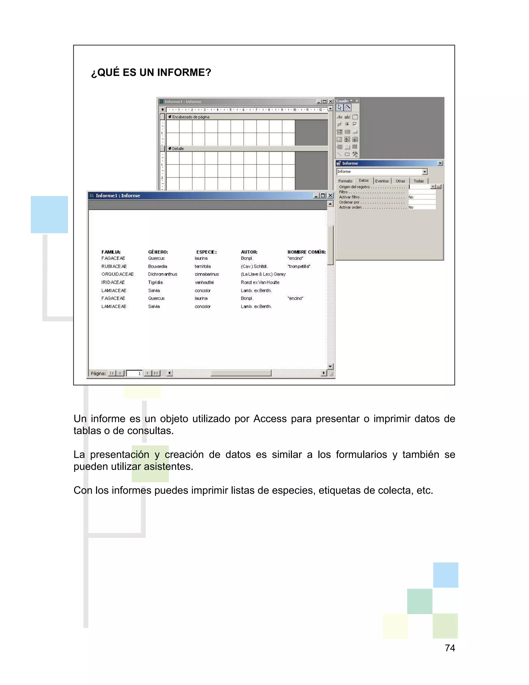 74
¿QUÉ ES UN INFORME?
Un informe es un objeto utilizado por Access para presentar o imprimir datos de
tablas o de consultas.
La presentación y creación de datos es similar a los formularios y también se
pueden utilizar asistentes.
Con los informes puedes imprimir listas de especies, etiquetas de colecta, etc.
 