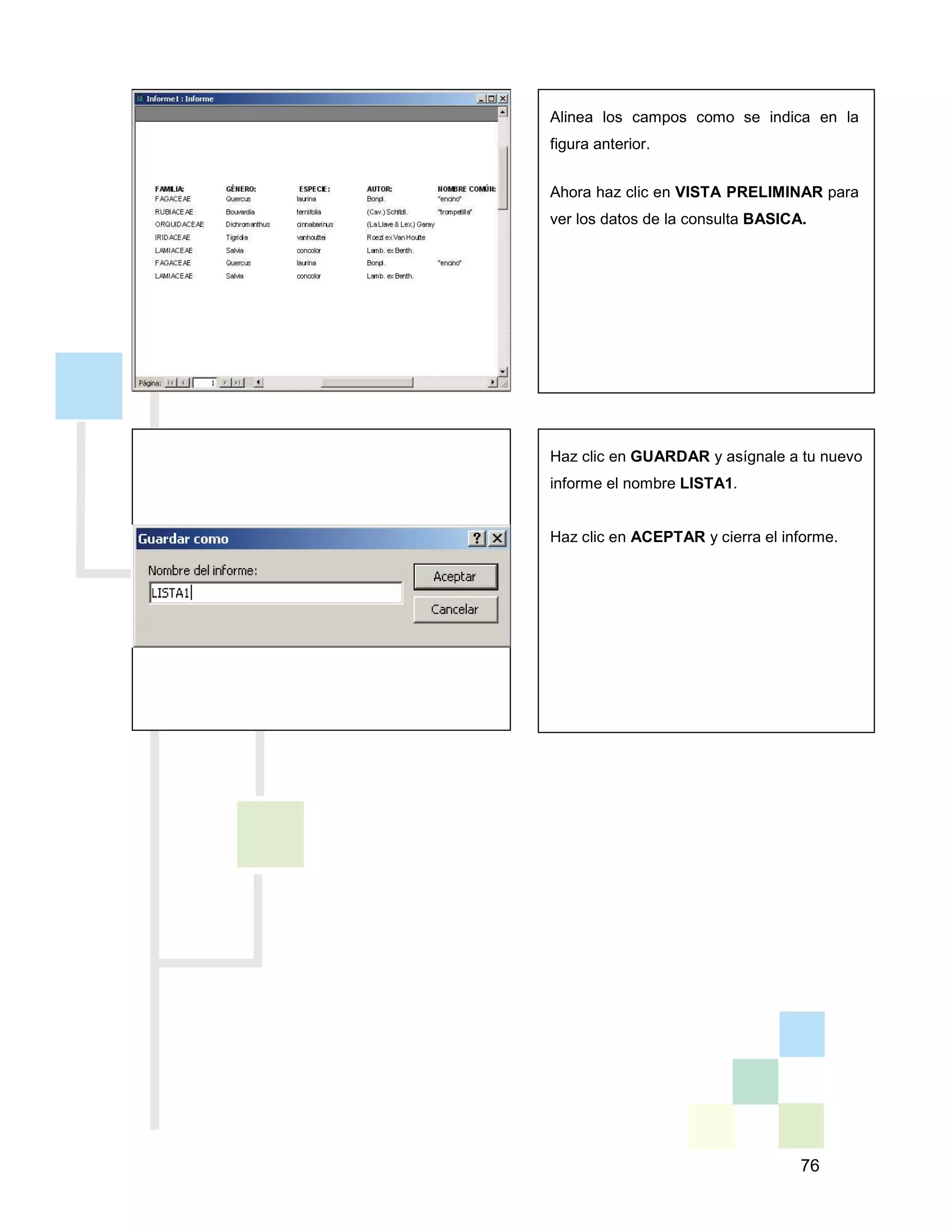 76
Haz clic en GUARDAR y asígnale a tu nuevo
informe el nombre LISTA1.
Haz clic en ACEPTAR y cierra el informe.
Alinea los campos como se indica en la
figura anterior.
Ahora haz clic en VISTA PRELIMINAR para
ver los datos de la consulta BASICA.
 