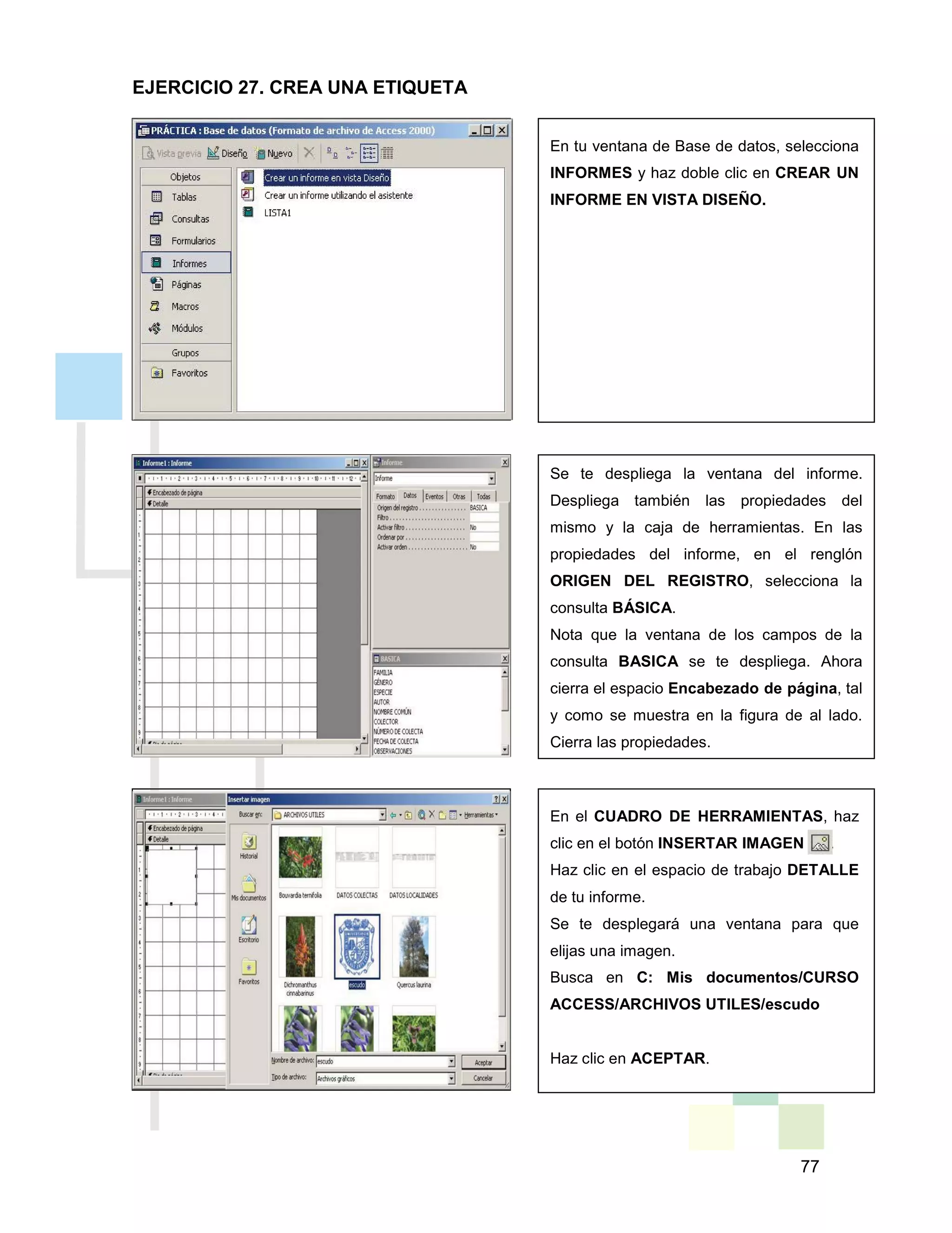77
En tu ventana de Base de datos, selecciona
INFORMES y haz doble clic en CREAR UN
INFORME EN VISTA DISEÑO.
Se te despliega la ventana del informe.
Despliega también las propiedades del
mismo y la caja de herramientas. En las
propiedades del informe, en el renglón
ORIGEN DEL REGISTRO, selecciona la
consulta BÁSICA.
Nota que la ventana de los campos de la
consulta BASICA se te despliega. Ahora
cierra el espacio Encabezado de página, tal
y como se muestra en la figura de al lado.
Cierra las propiedades.
En el CUADRO DE HERRAMIENTAS, haz
clic en el botón INSERTAR IMAGEN .
Haz clic en el espacio de trabajo DETALLE
de tu informe.
Se te desplegará una ventana para que
elijas una imagen.
Busca en C: Mis documentos/CURSO
ACCESS/ARCHIVOS UTILES/escudo
Haz clic en ACEPTAR.
EJERCICIO 27. CREA UNA ETIQUETA
 